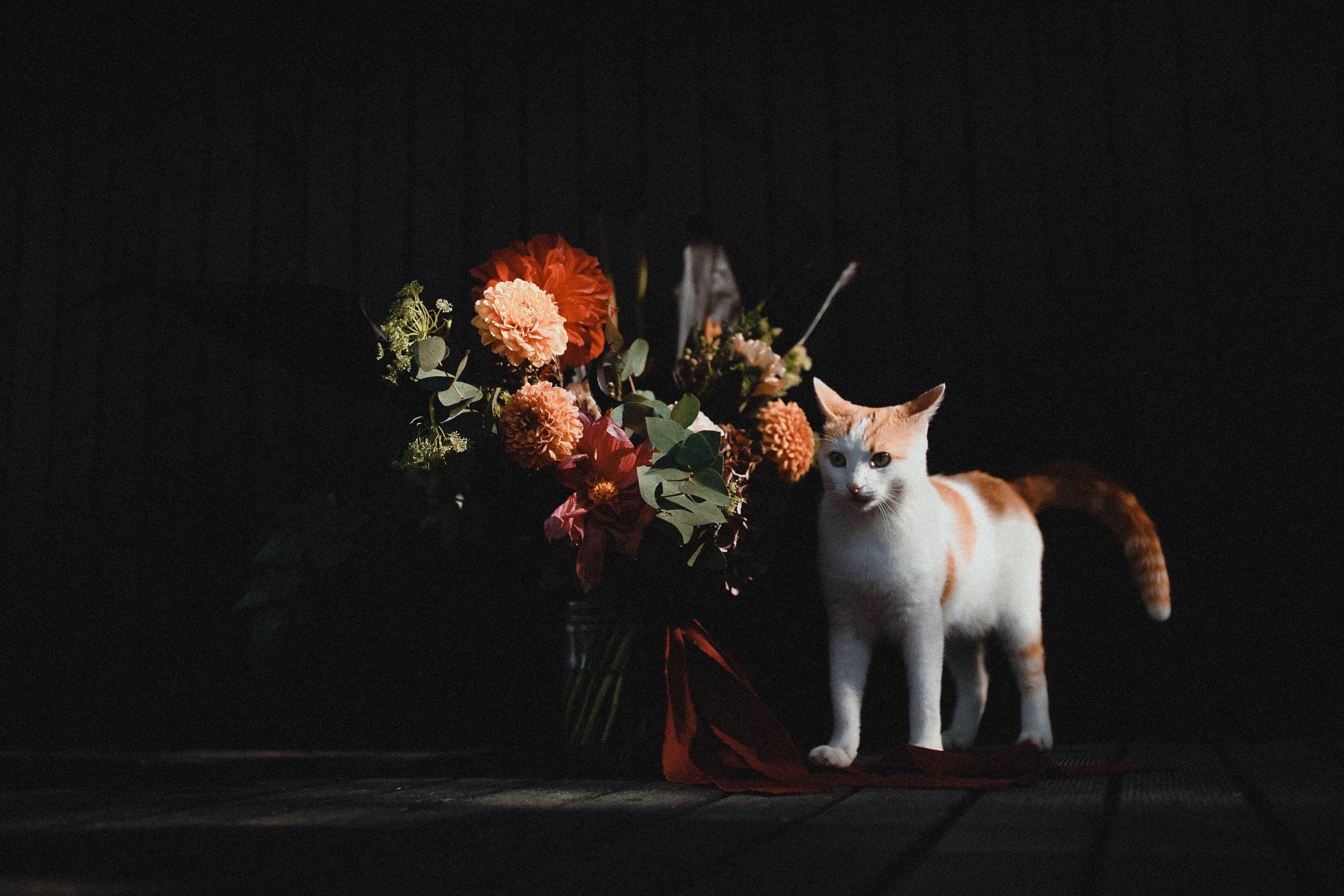 Александр и Марго. Фотограф в Крыму Романенко Даниил