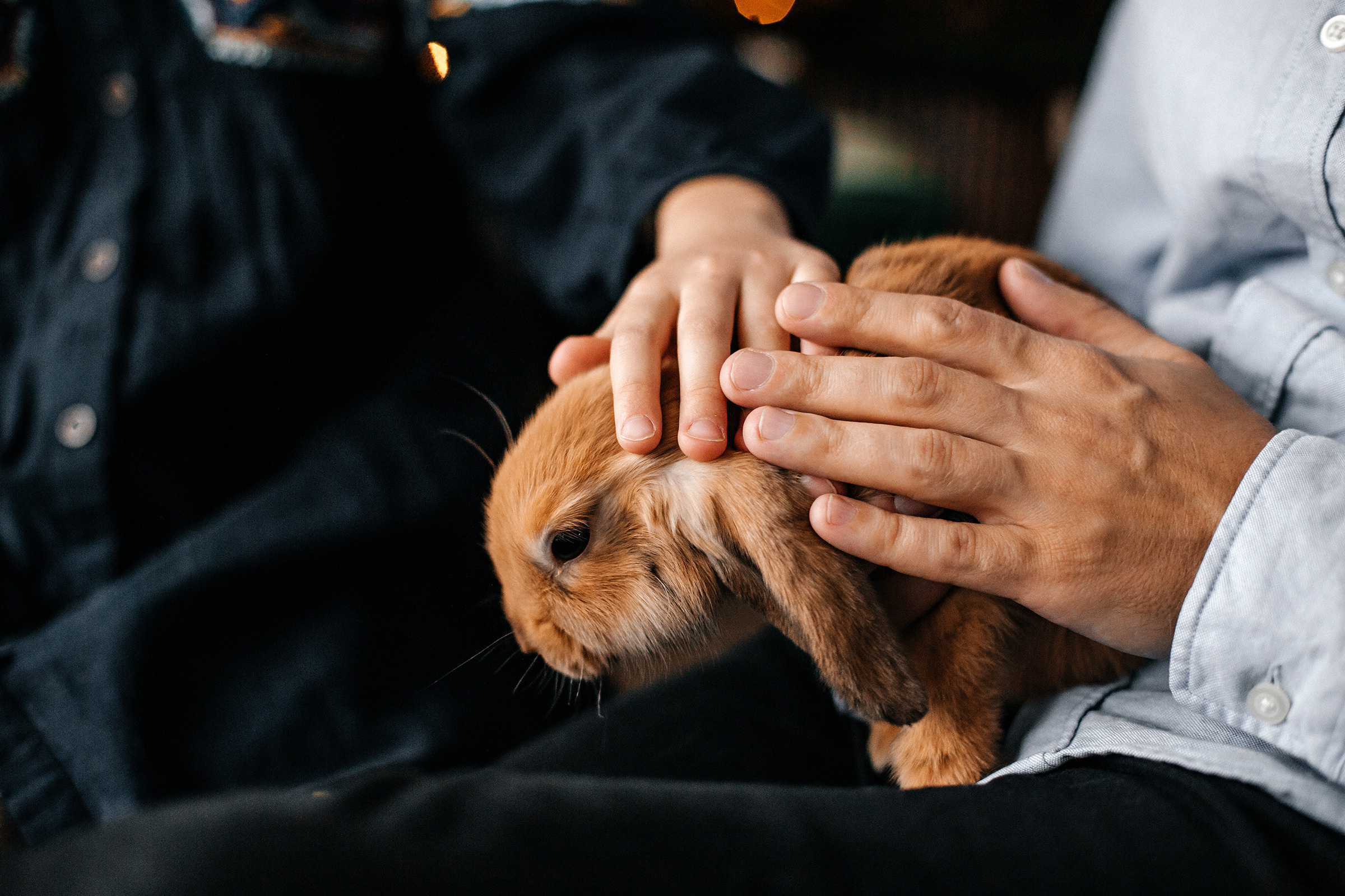 Божена+Паша=Мишель+Палыч. Семейный фотограф в Минске Саша Павлюк
