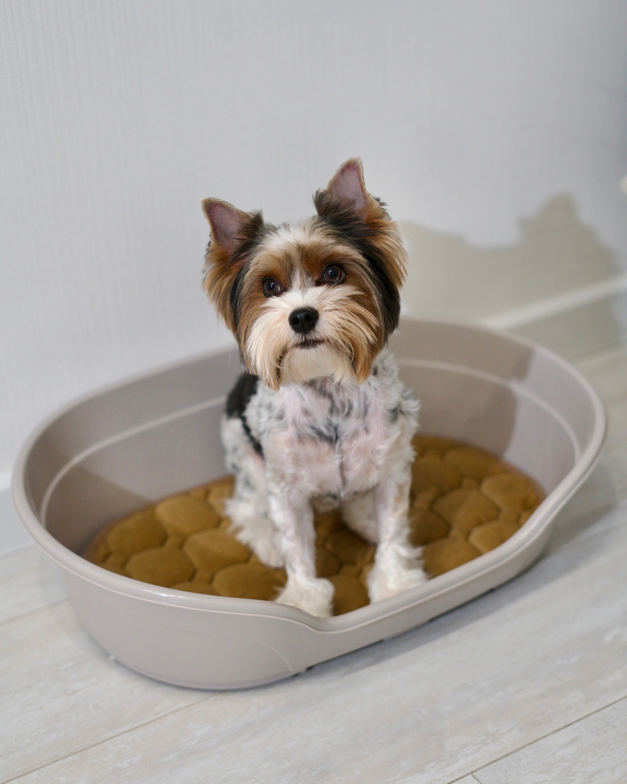 Stefan | Товары для маркетплейсов. Фотограф Александра Волкова | Волгоград