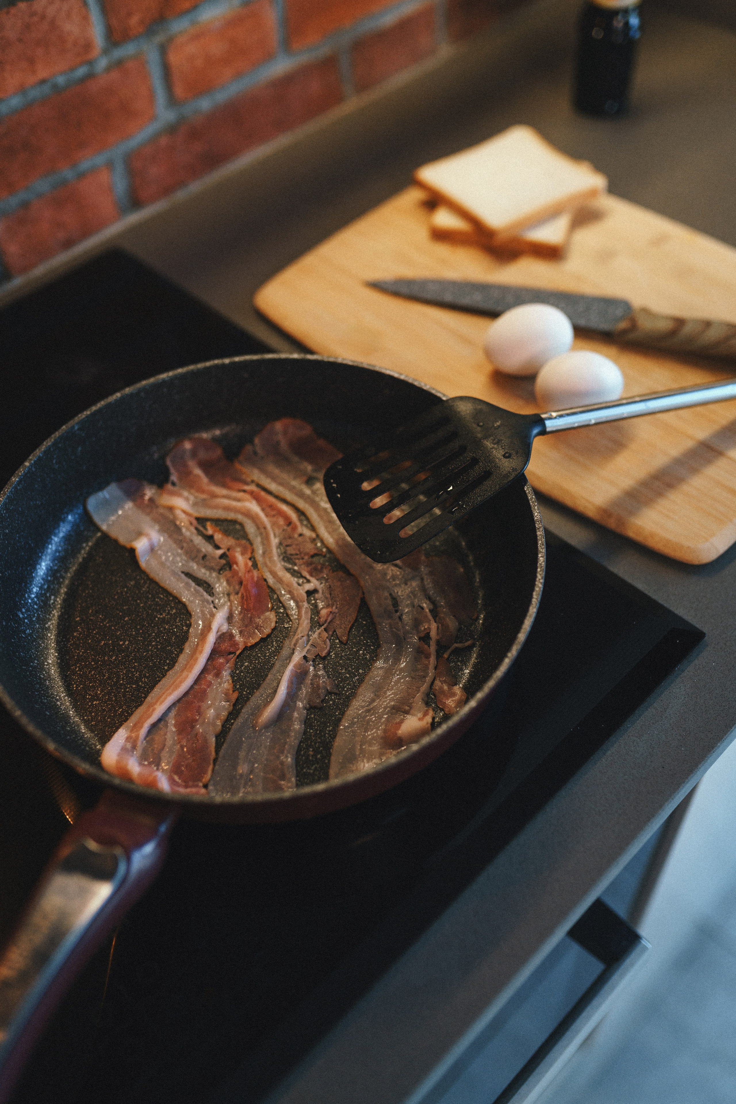 M-Pets. Фотограф анималист Осипчикова Мария