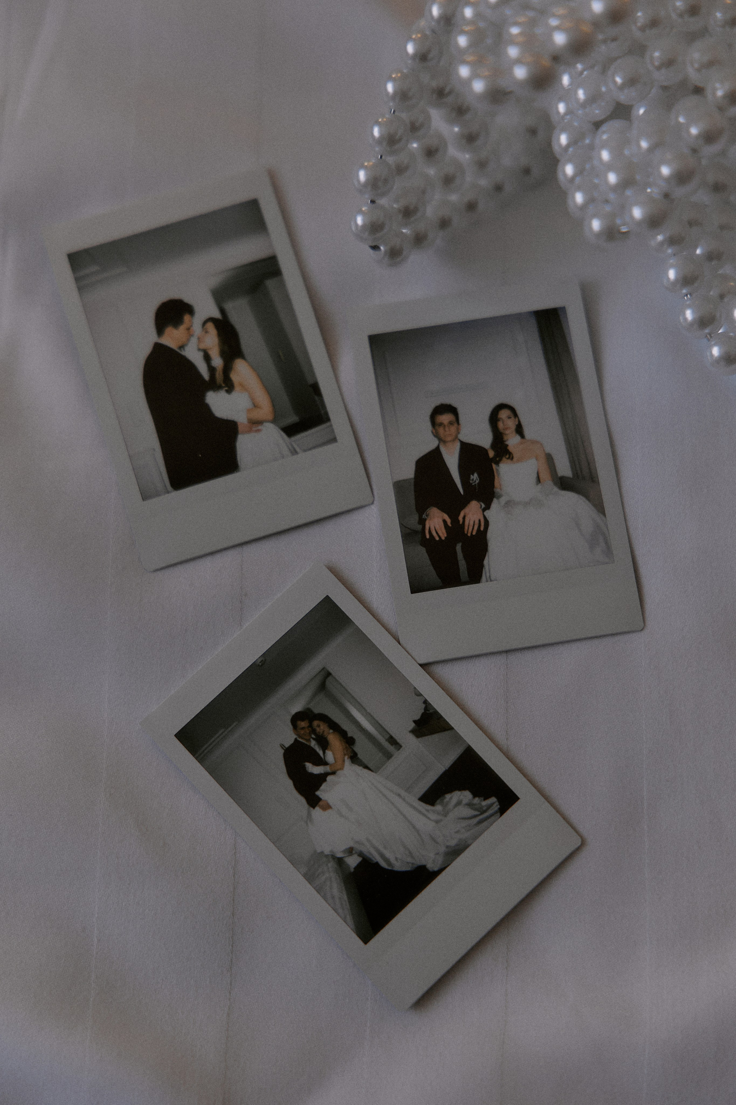 Цветок. Фотограф Елена Краснопевцева