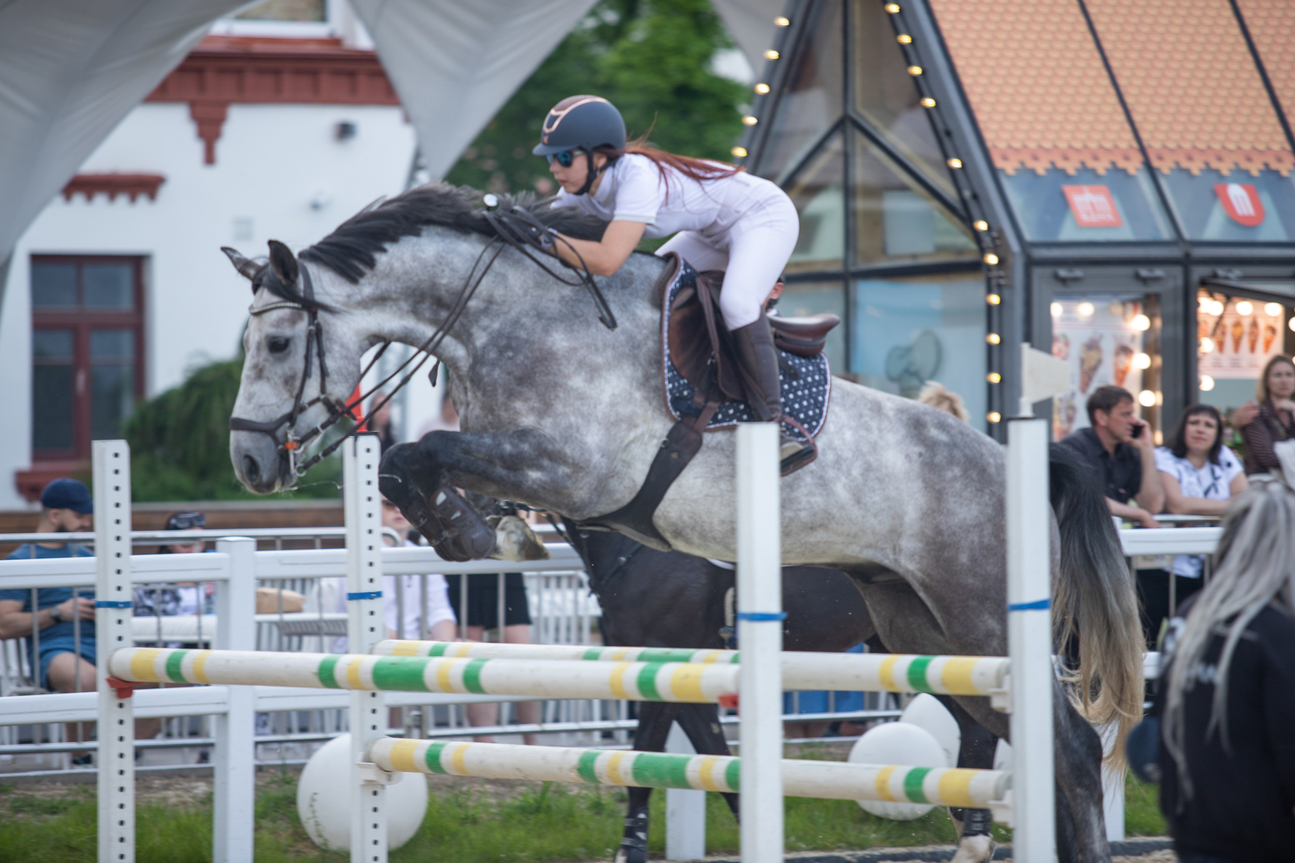 Соревнования. Фотосессии с лошадьми в Москве и МО