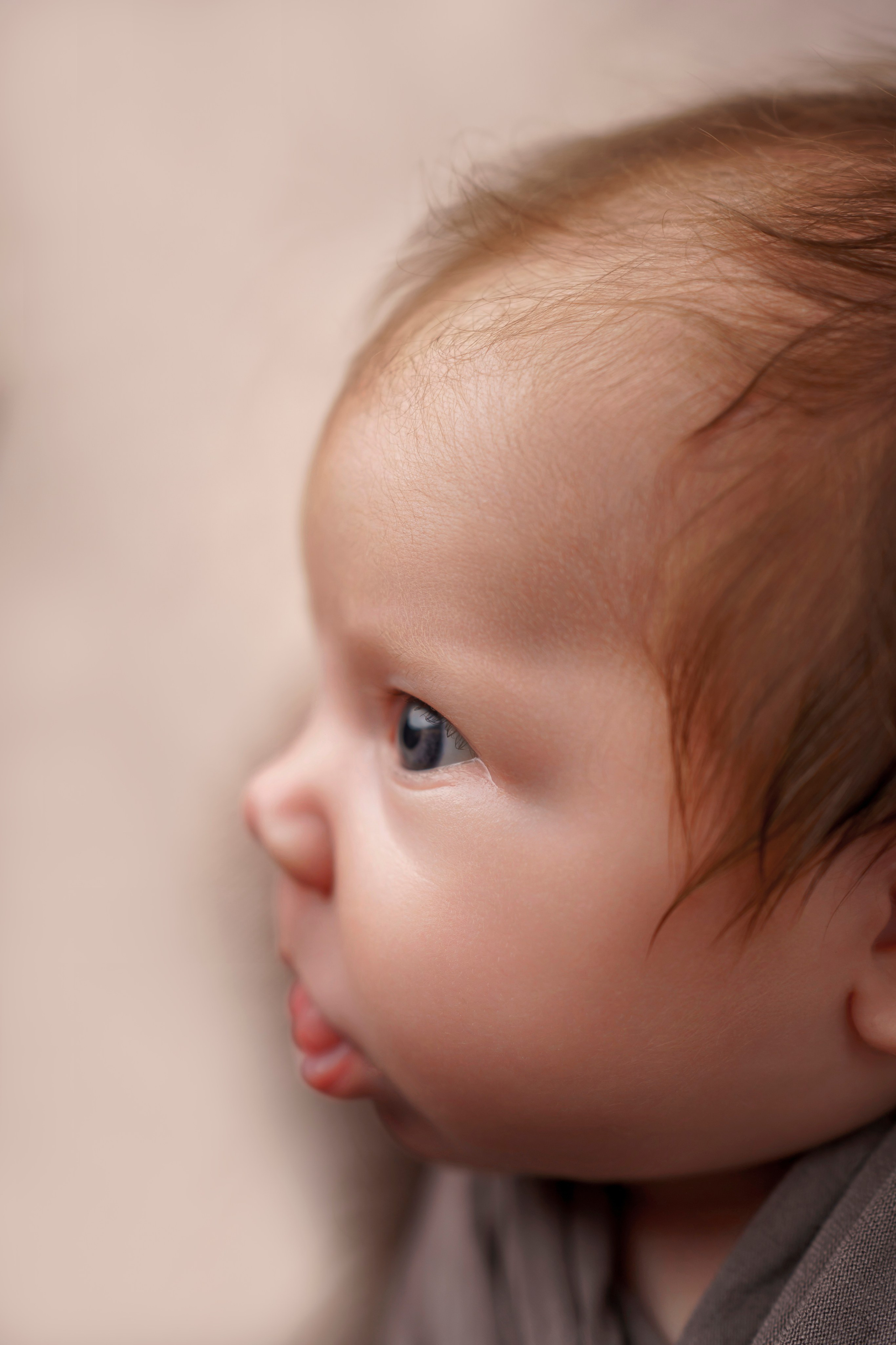 Фотосессия новорожденных. Фотограф новорождённых в Рязани и Сасово Регина Ломова