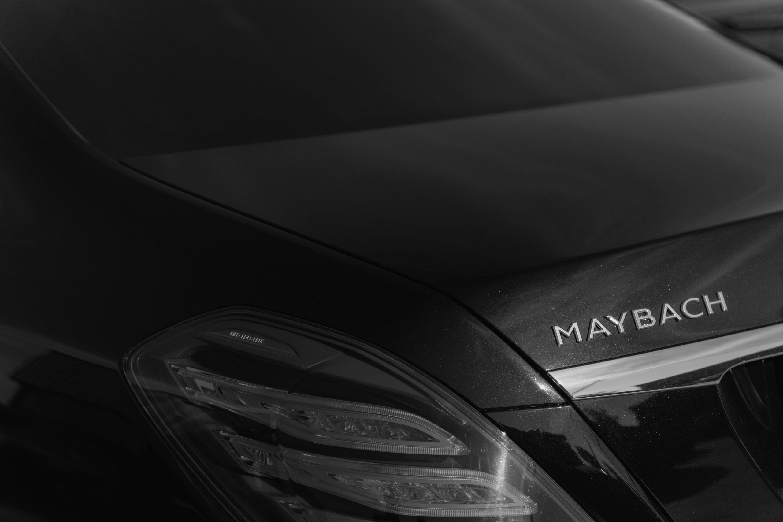 Диана и Даниил. Фотограф в Санкт-Петербурге Алексей Глазанов