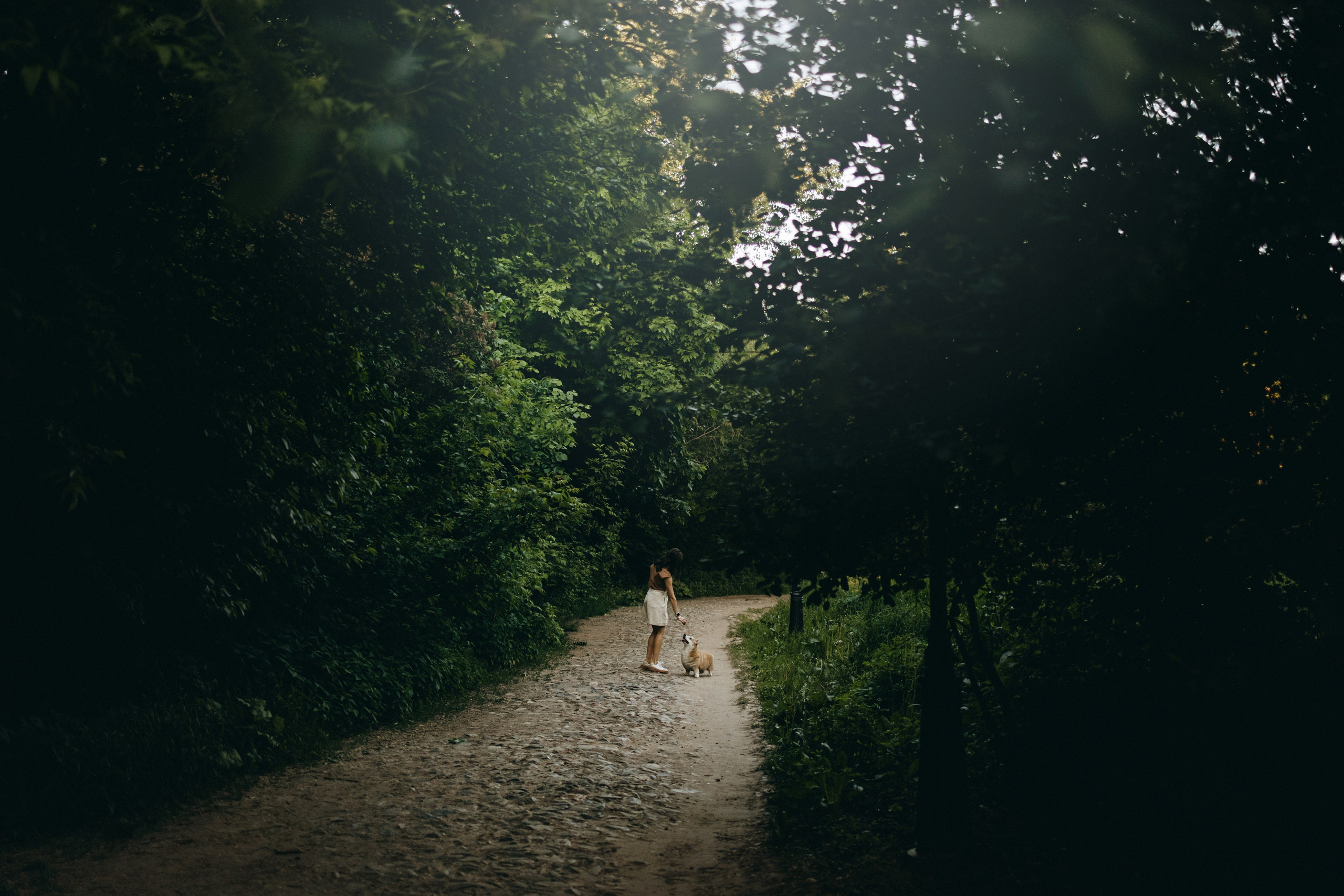 Кристина и Шелби. Фотограф — Анималист | Санкт-Петербург