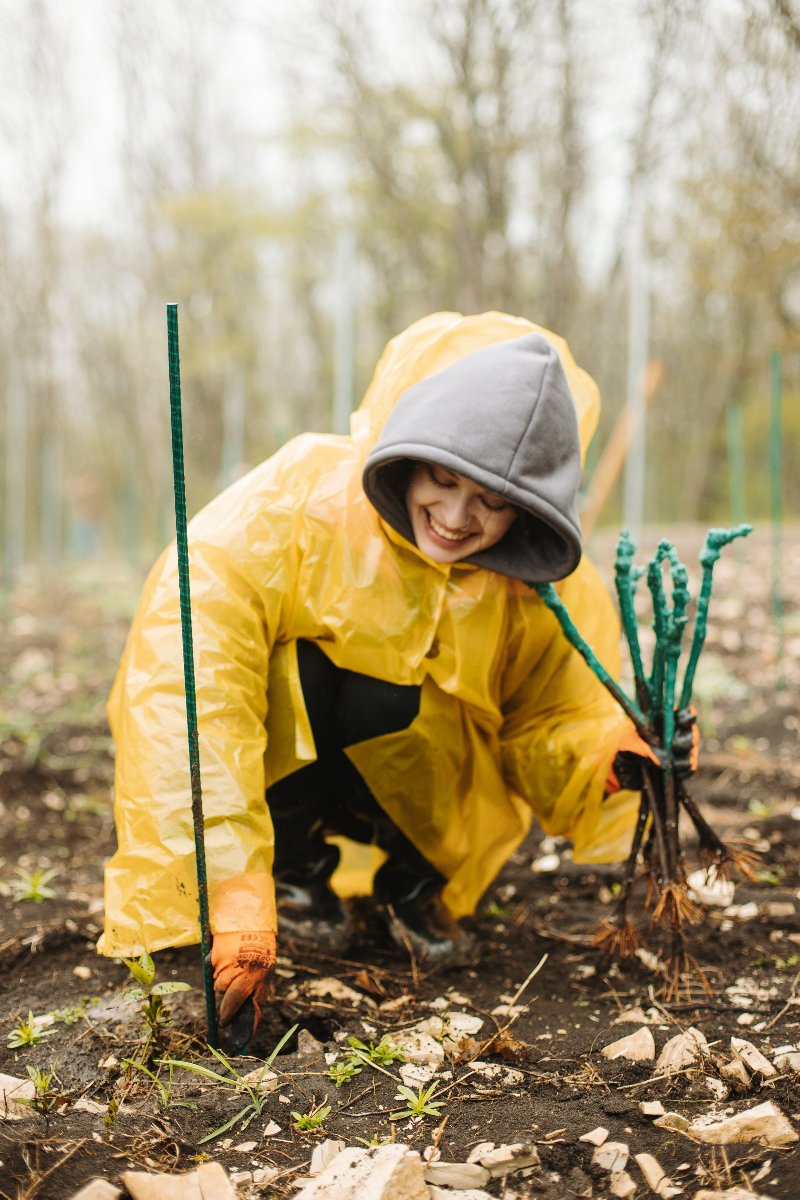 Lion Wine. Фотограф на Юге России