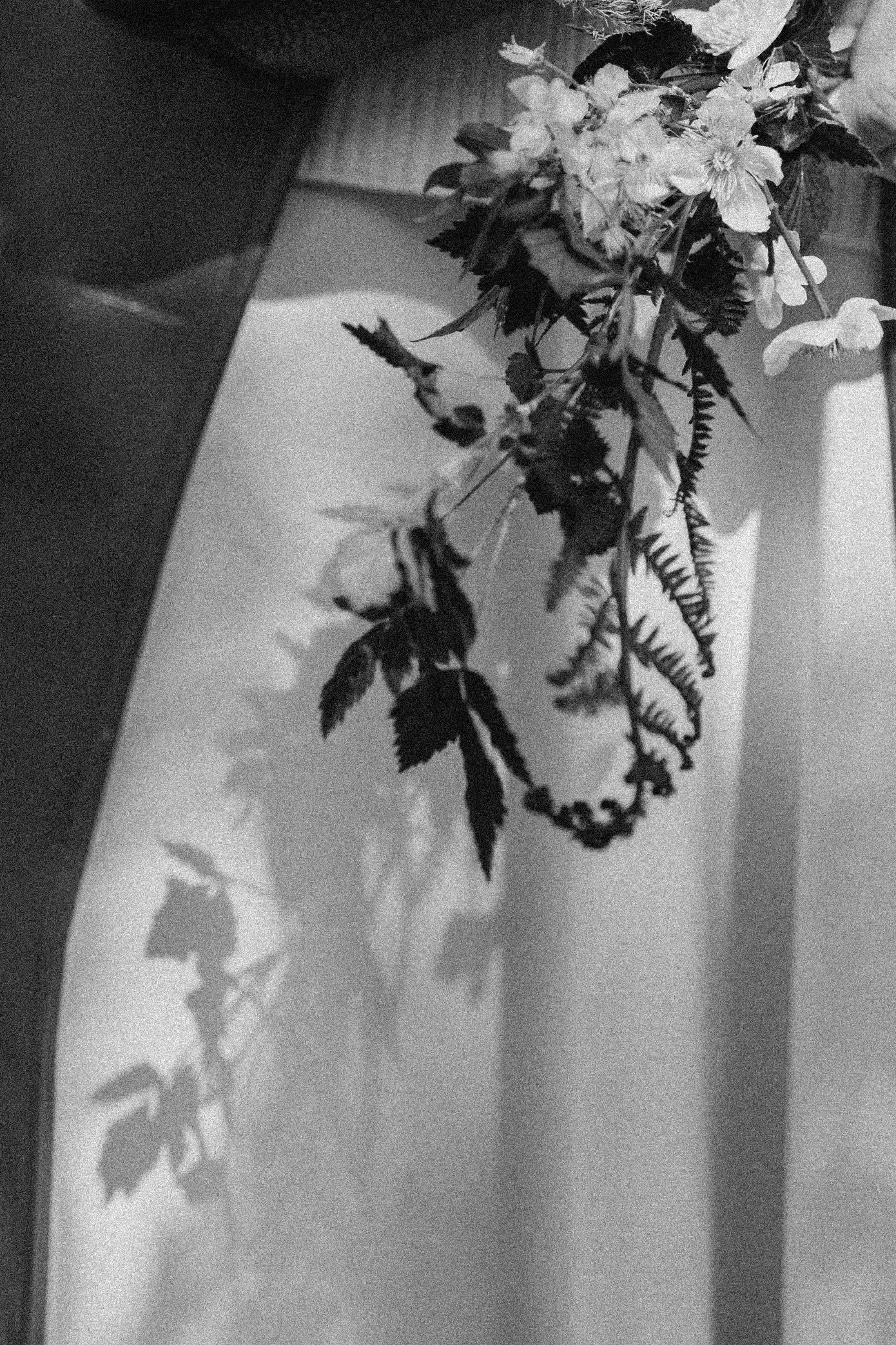 Эстетика П р о Я в л е н и я. Виноградова Маргарита. Фотограф P r o Явления