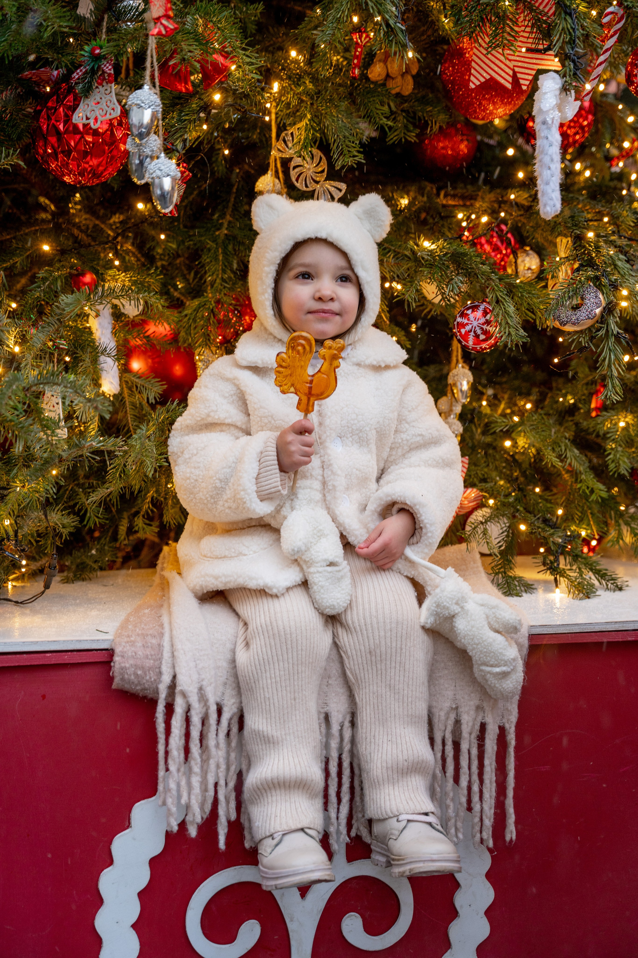 Новогодние фотопрогулки. Профессиональный фотограф Ковалева Олеся