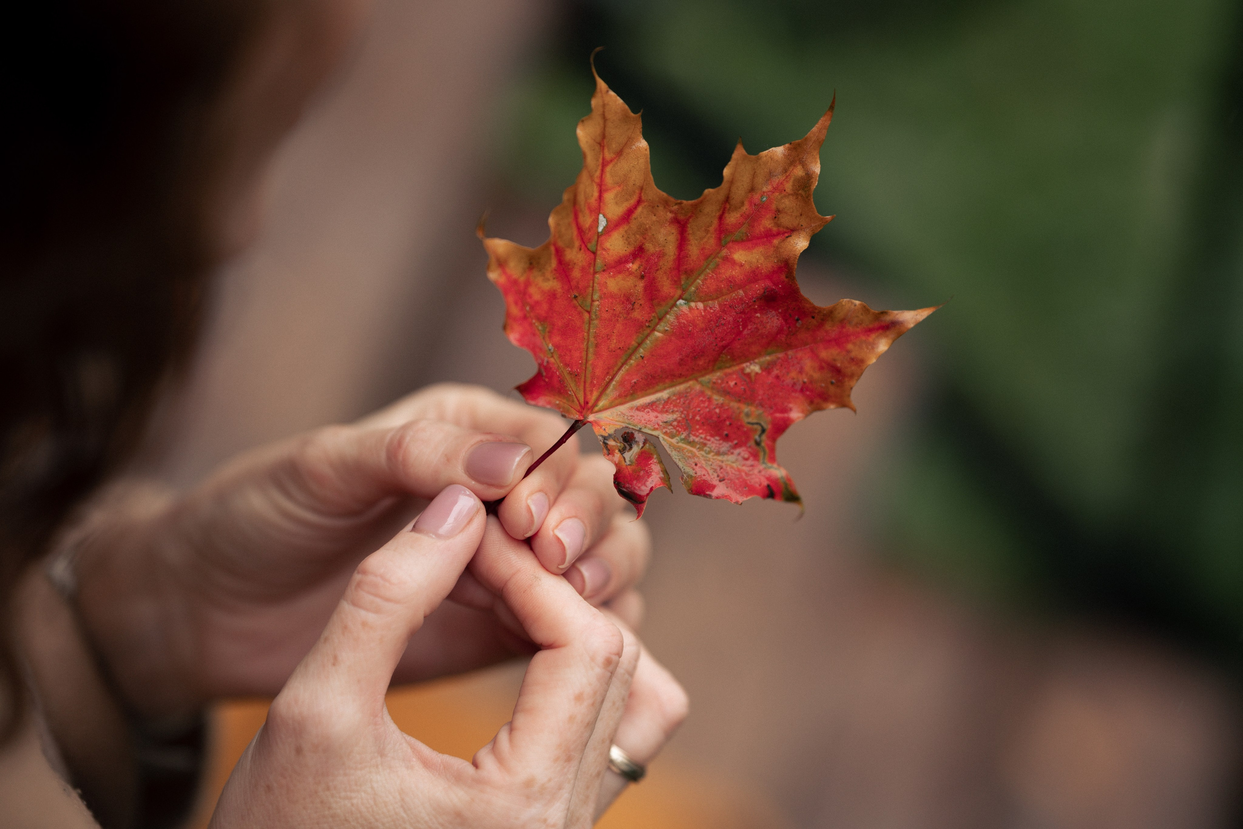 E & O. Фотограф Санкт-Петербург/Гомель Виктория Петрова