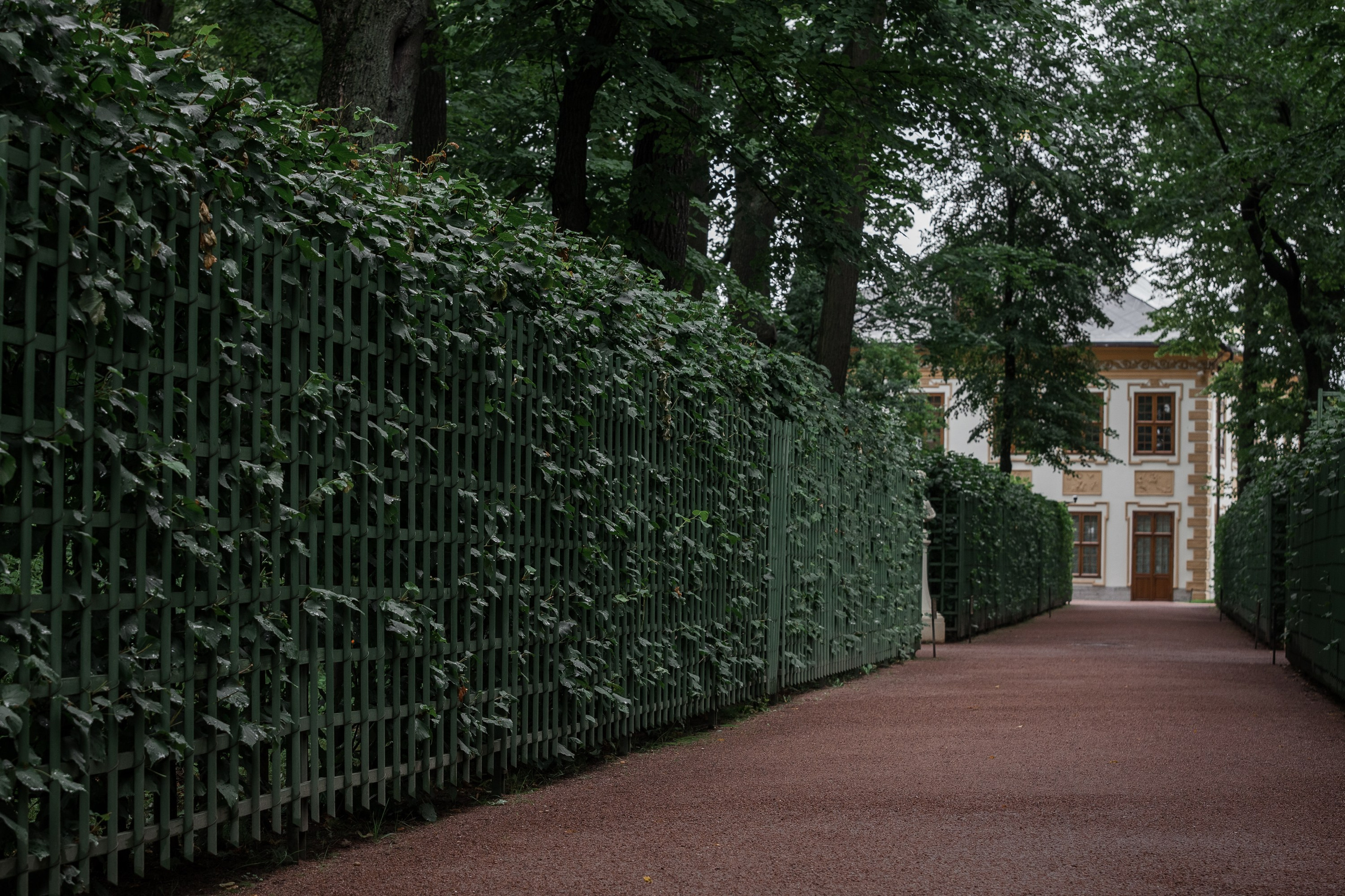 «Летний сад- моими глазами…». Туманов Виталий — фотограф Москва