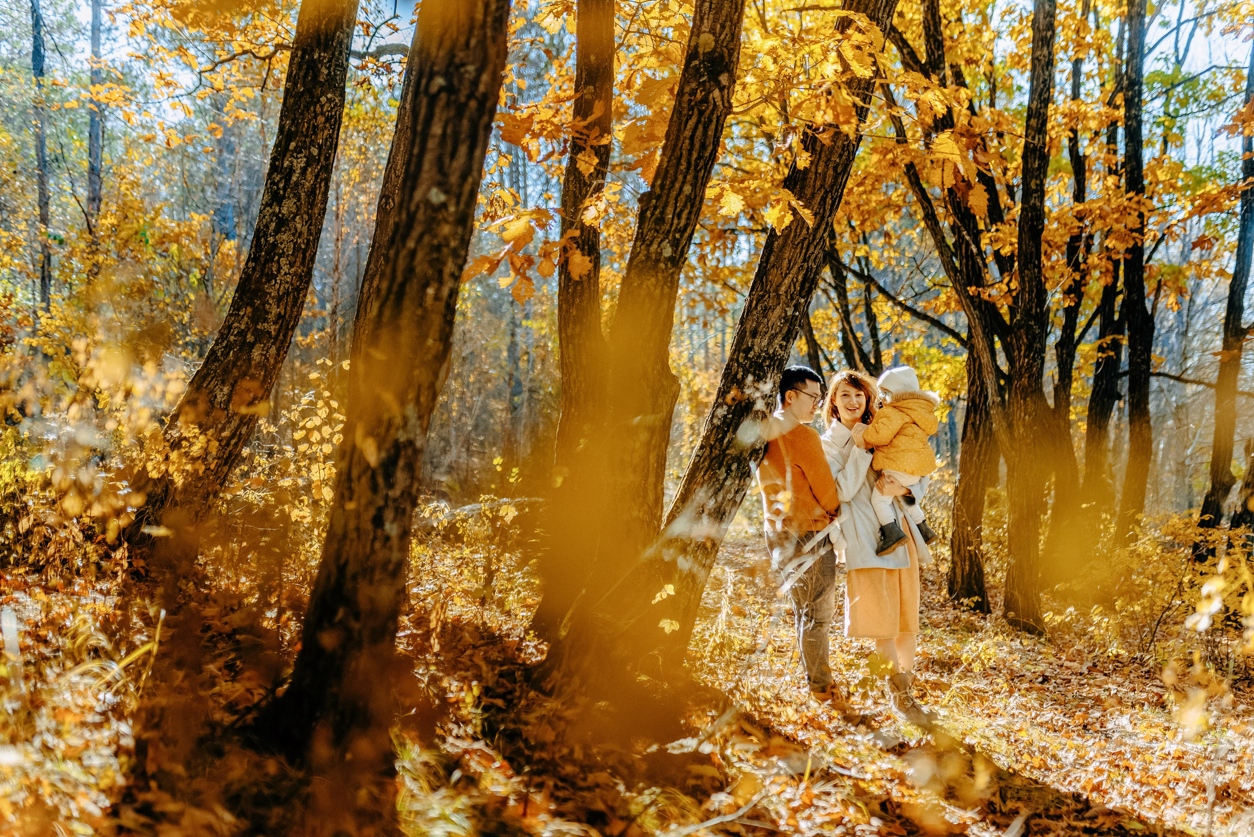 ТЕПЛАЯ ОСЕНЬ. Шашкова Вероника / Свадебный и семейный фотограф Москва и Ярославль