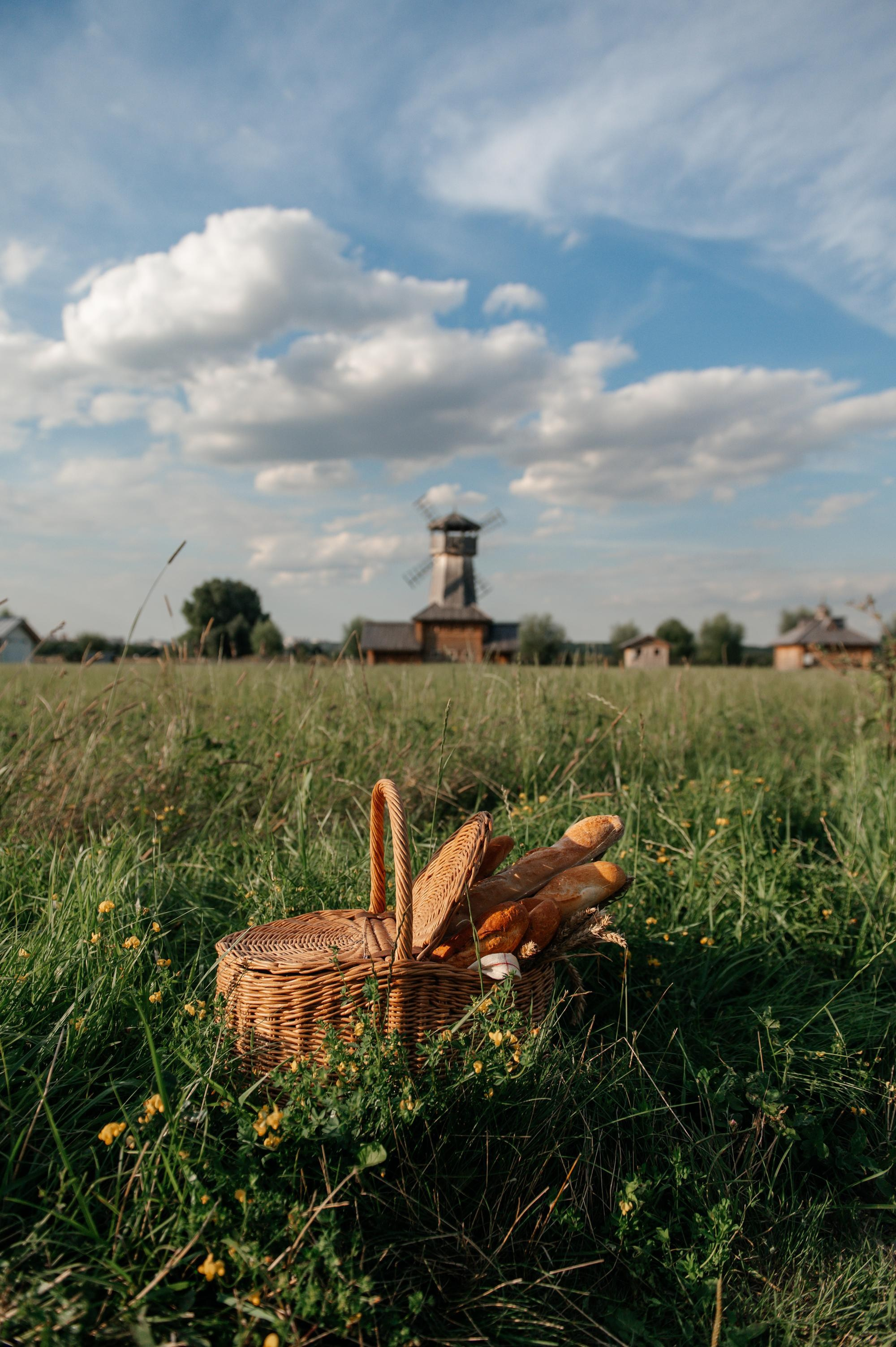 Пикник. Свадебный фотограф в Москве Юлия Лисой