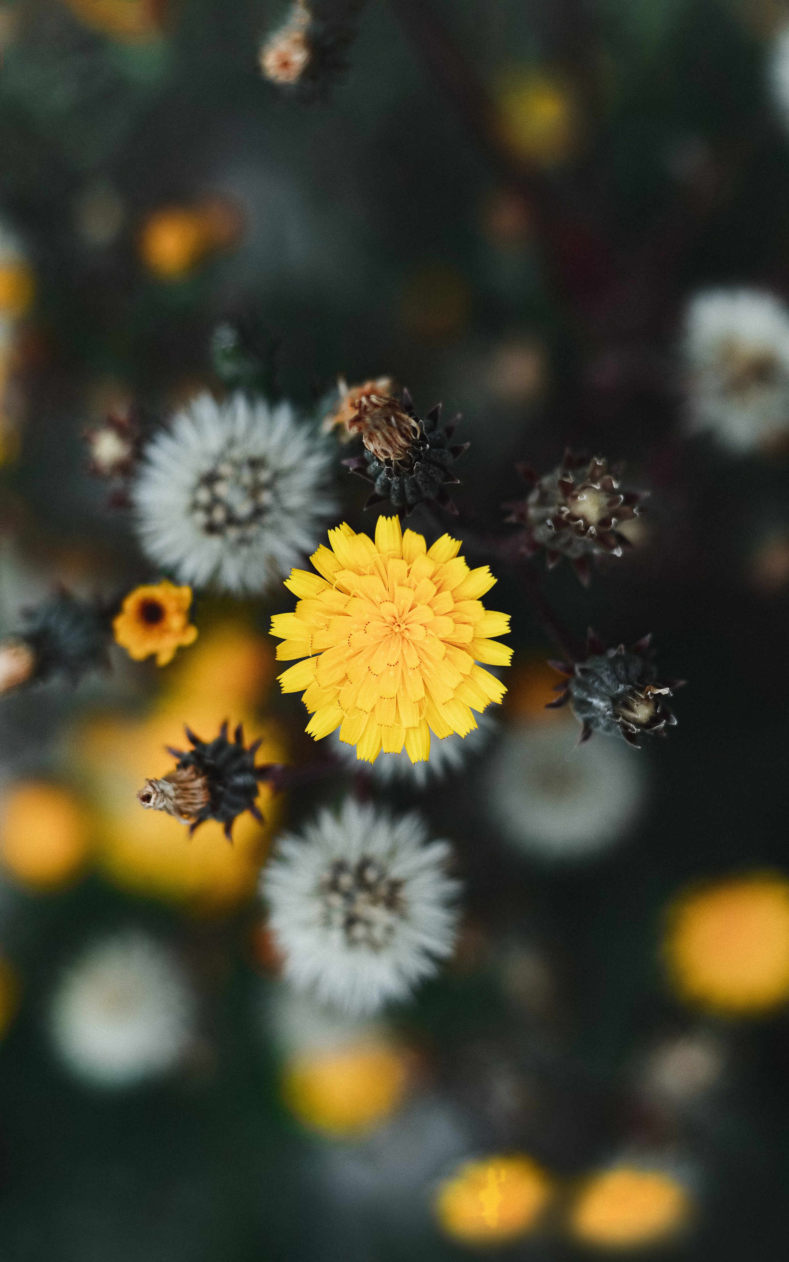 Жизнь. Фотограф Алматы | Весь мир — Никита Колодин