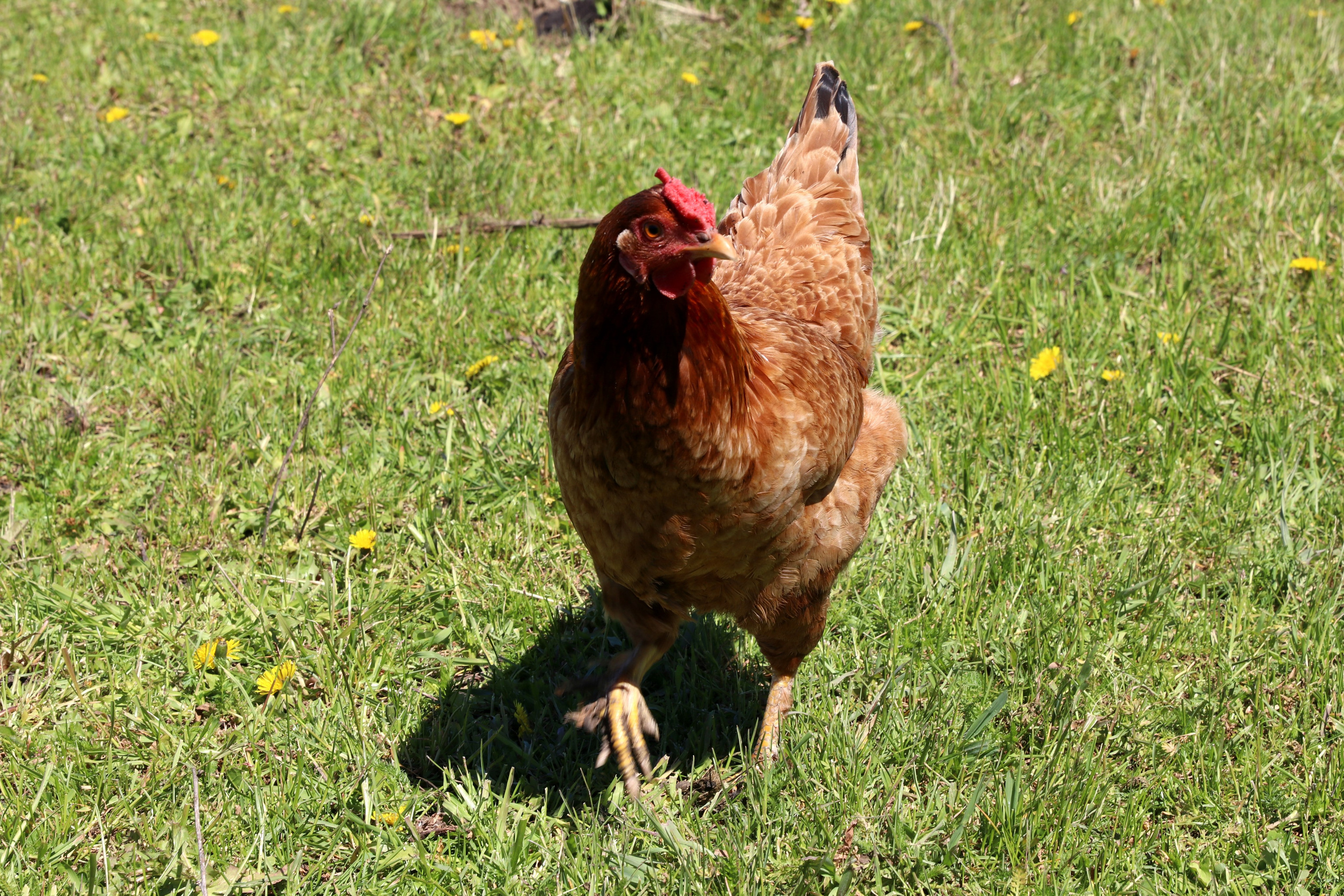 Велопоход Уфа — Мелеуз. Май 2024. Путешественник-фотограф из Санкт-Петербурга Татьяна Свистулина