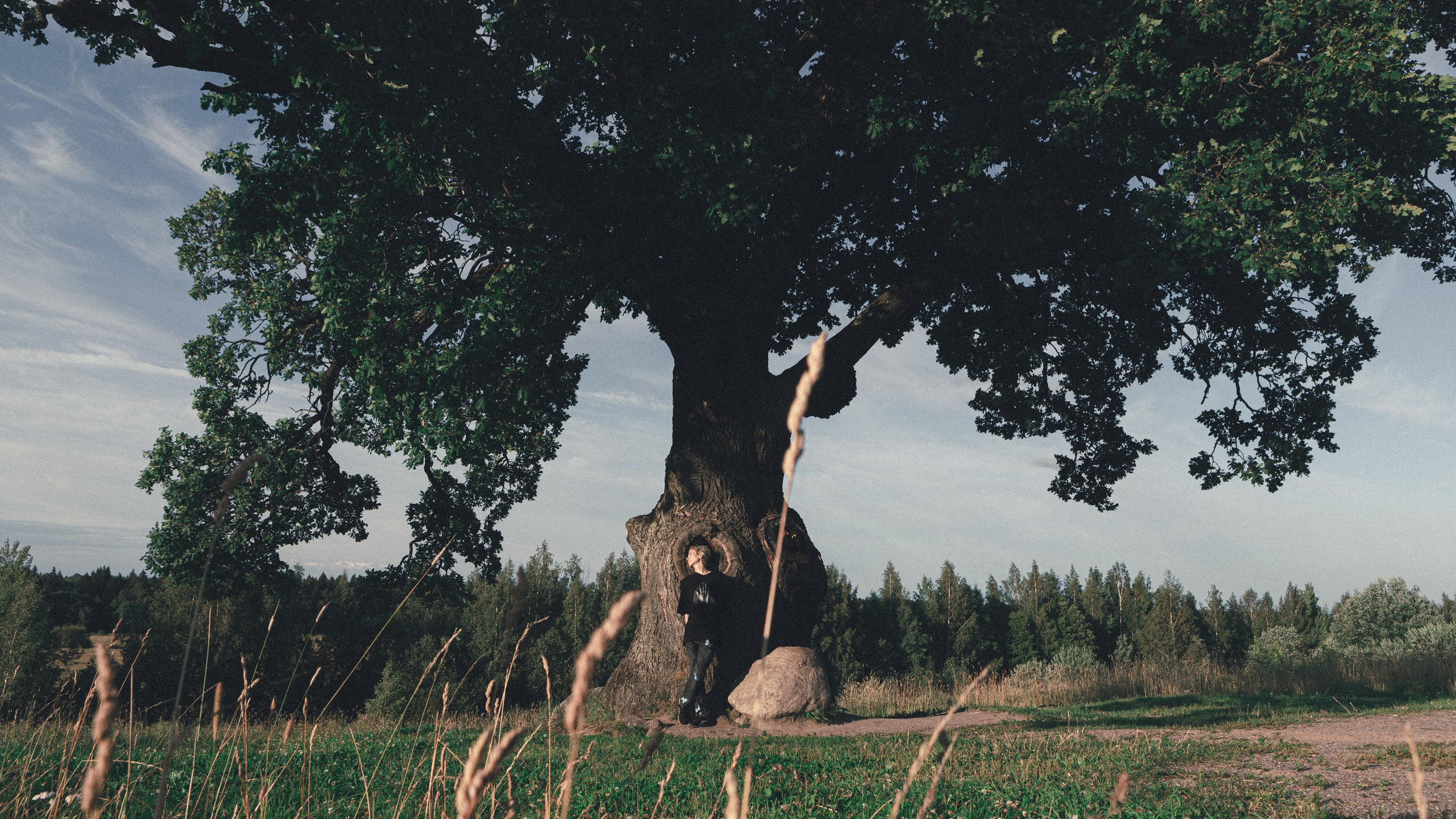 Мужская Фотосессия и Стильный Портрет в Санкт-Петербурге. Фото и Видеосъемка на ваше мероприятие. Александр Романов