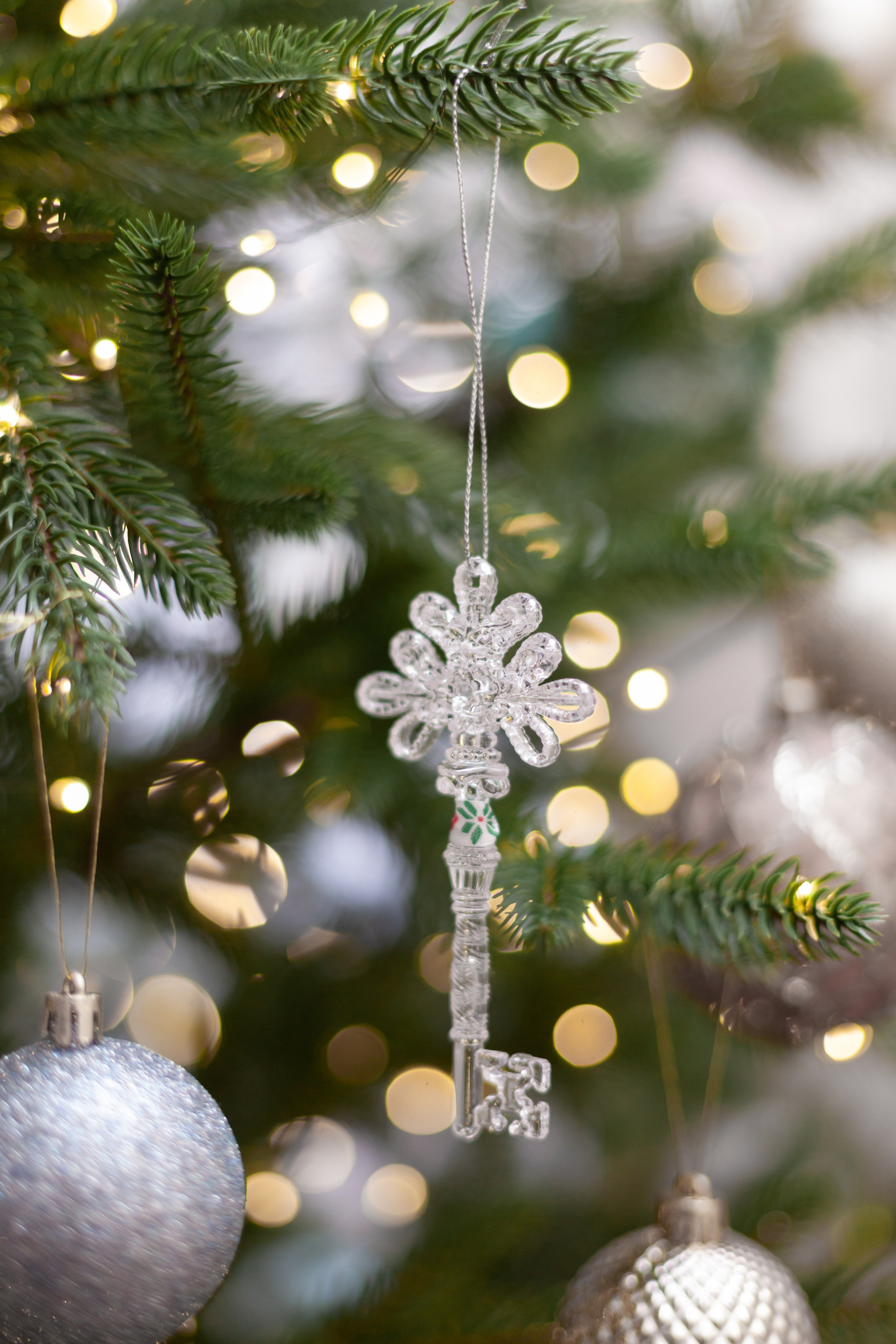 Домашняя. Фотограф в Томске Евгения Гуляева