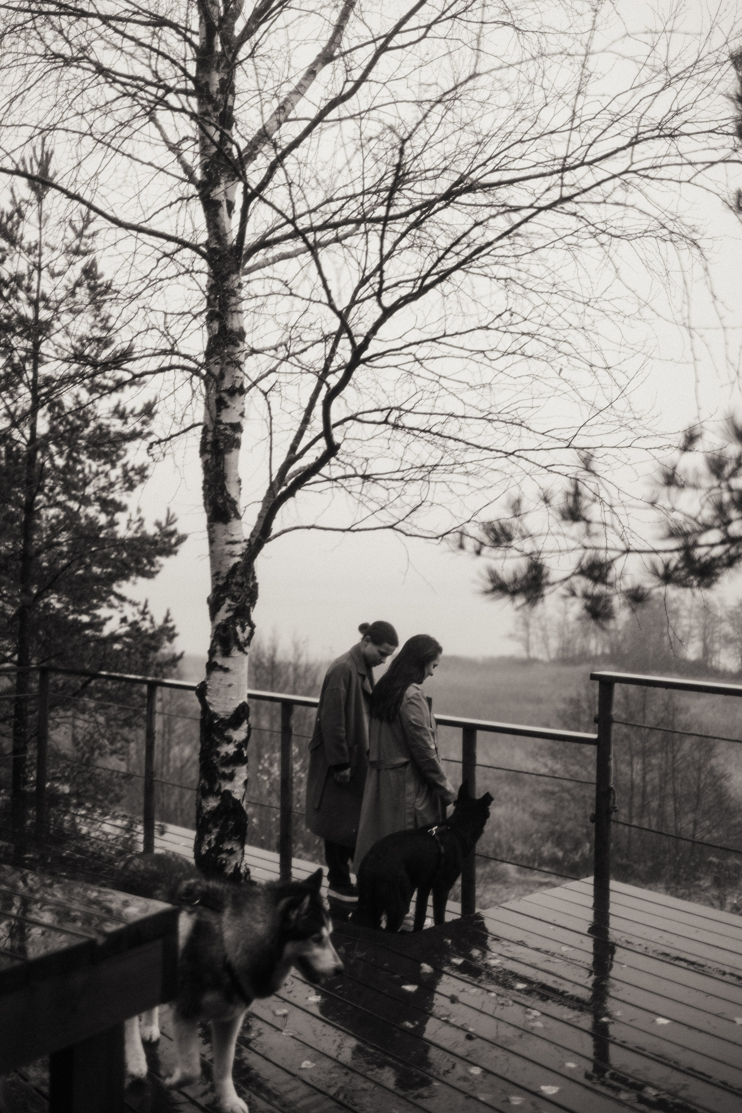 Лена, Глеб, Ральф и Рэй. Фотограф в Выборге и Санкт-Петербурге Маша Гуляева
