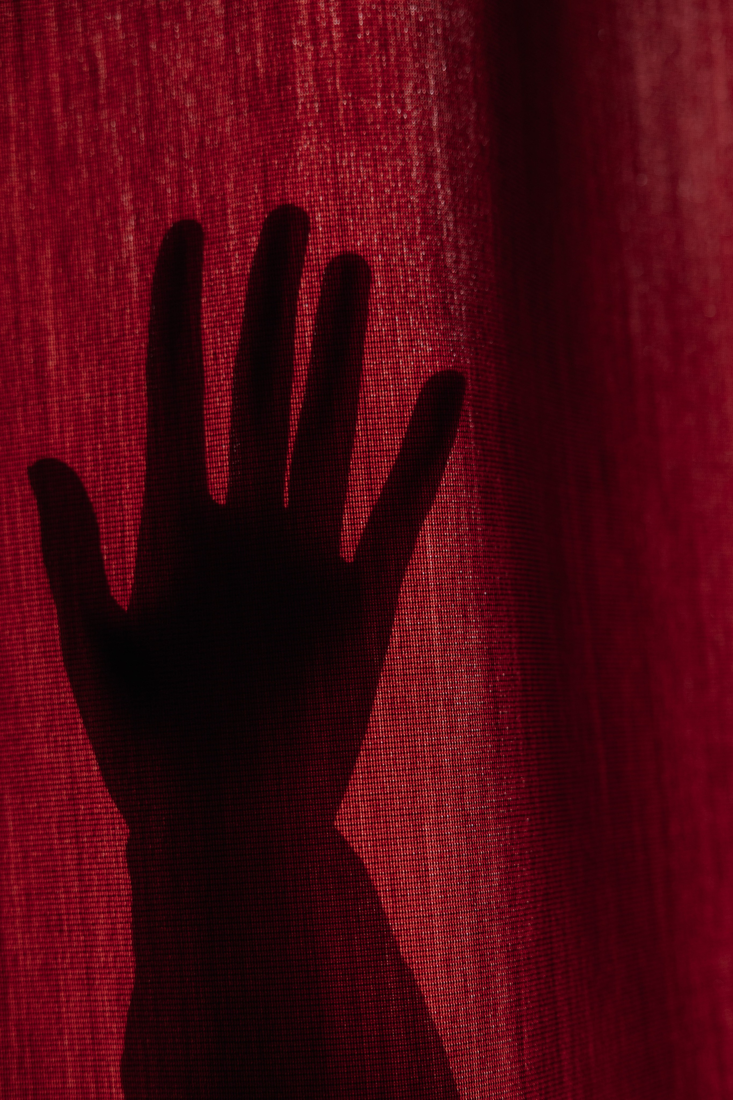 Просьба не беспокоить. Свадебный фотограф Алина Хабарова