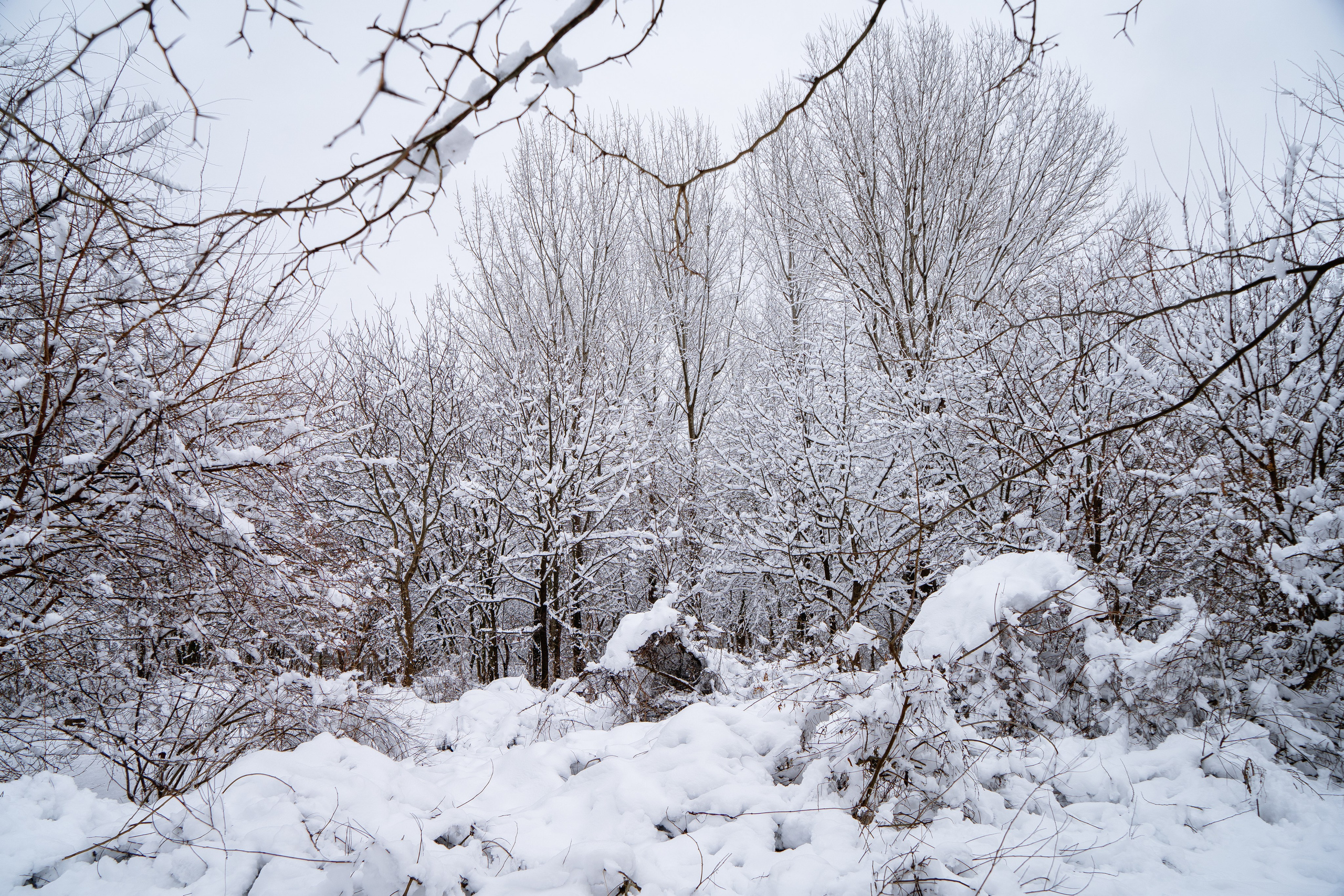 Зима 2024. Свадебный и семейный фотограф/видеограф в Краснодаре Наталья Осинская