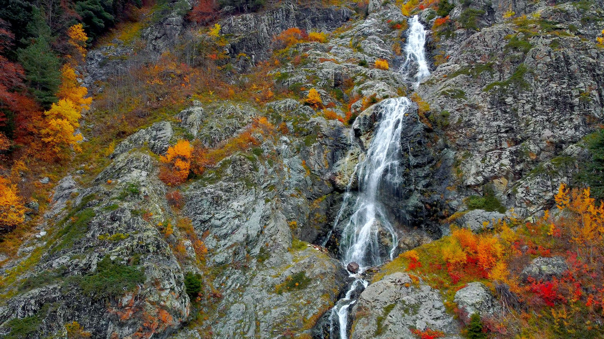 Свадебный фотограф в Геленджике