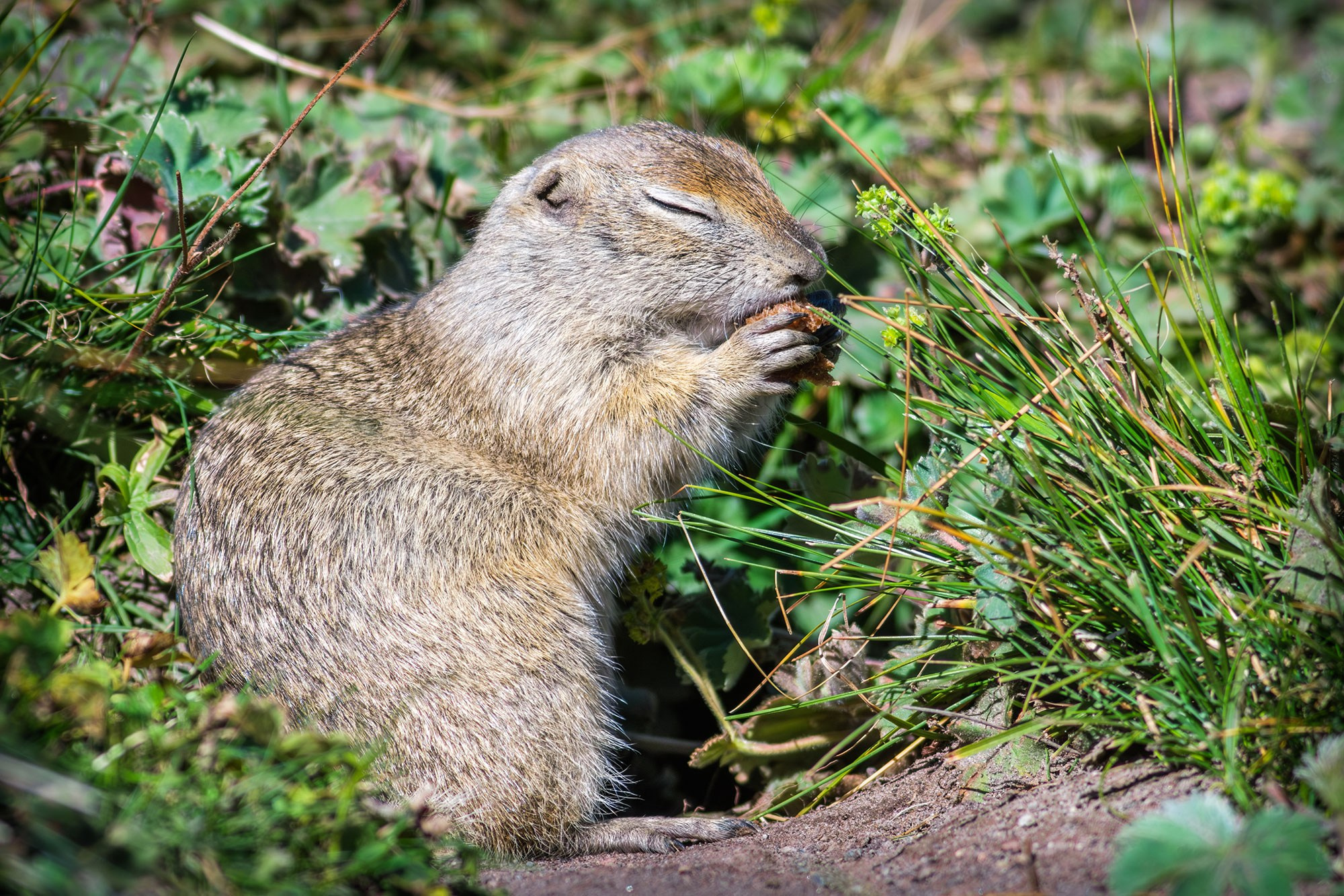 Урочище Джилы-Су