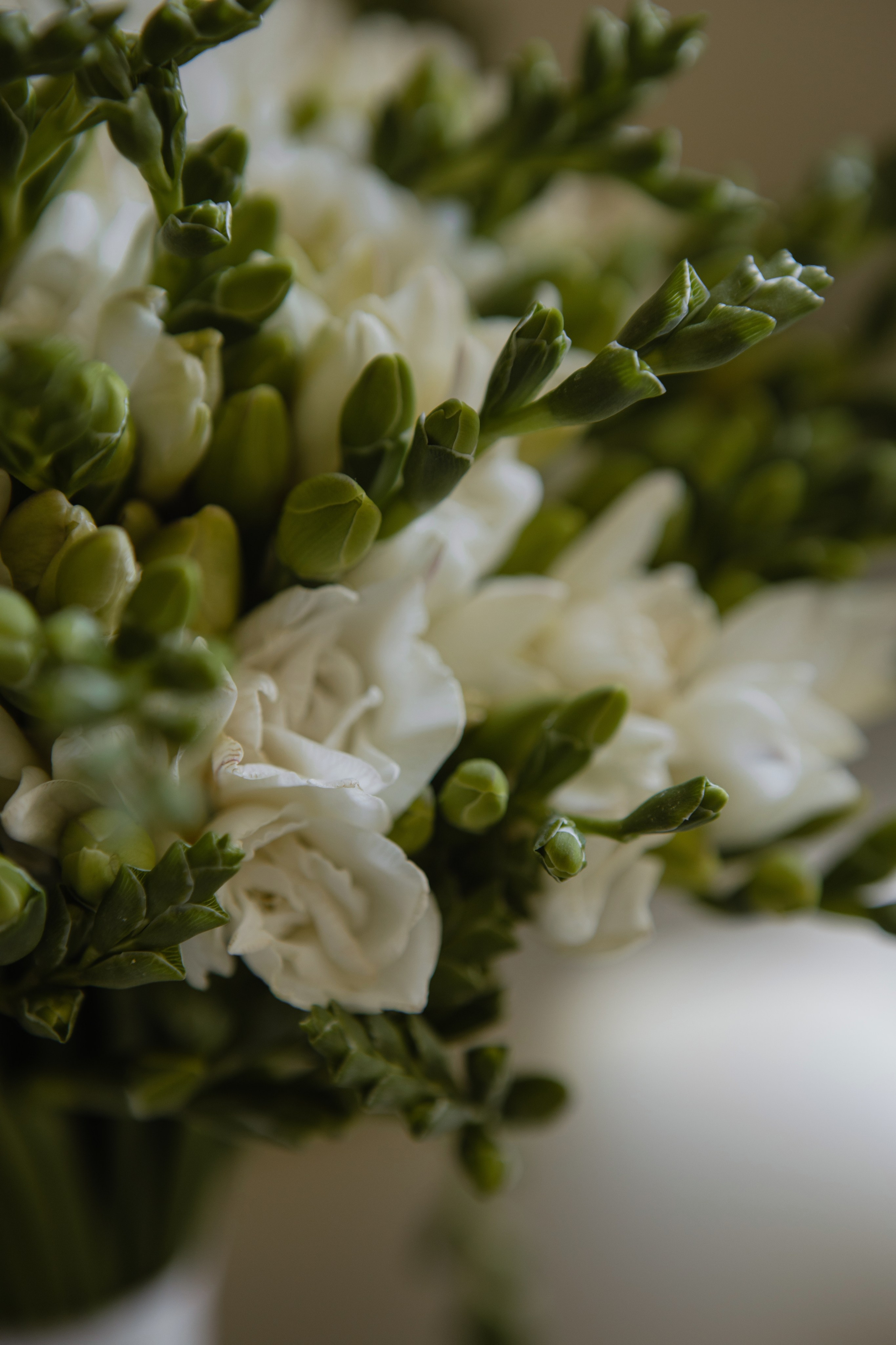 M&E. Свадебный и семейный фотограф Чижова Алина