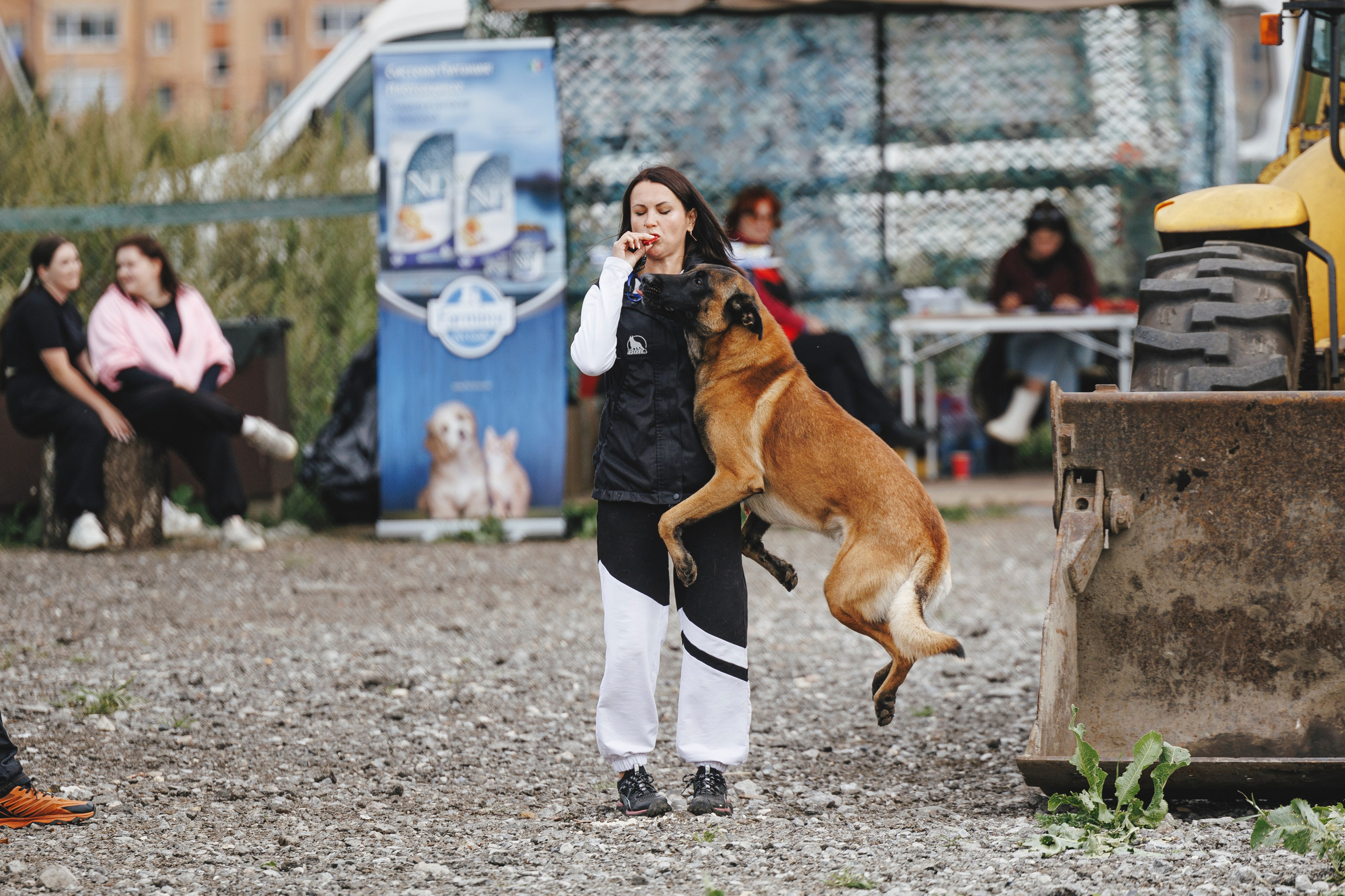 08.08.25-10.08.25 ЧР по мондьорингу г. Вологда. Фотограф-анималист Анна Маринич
