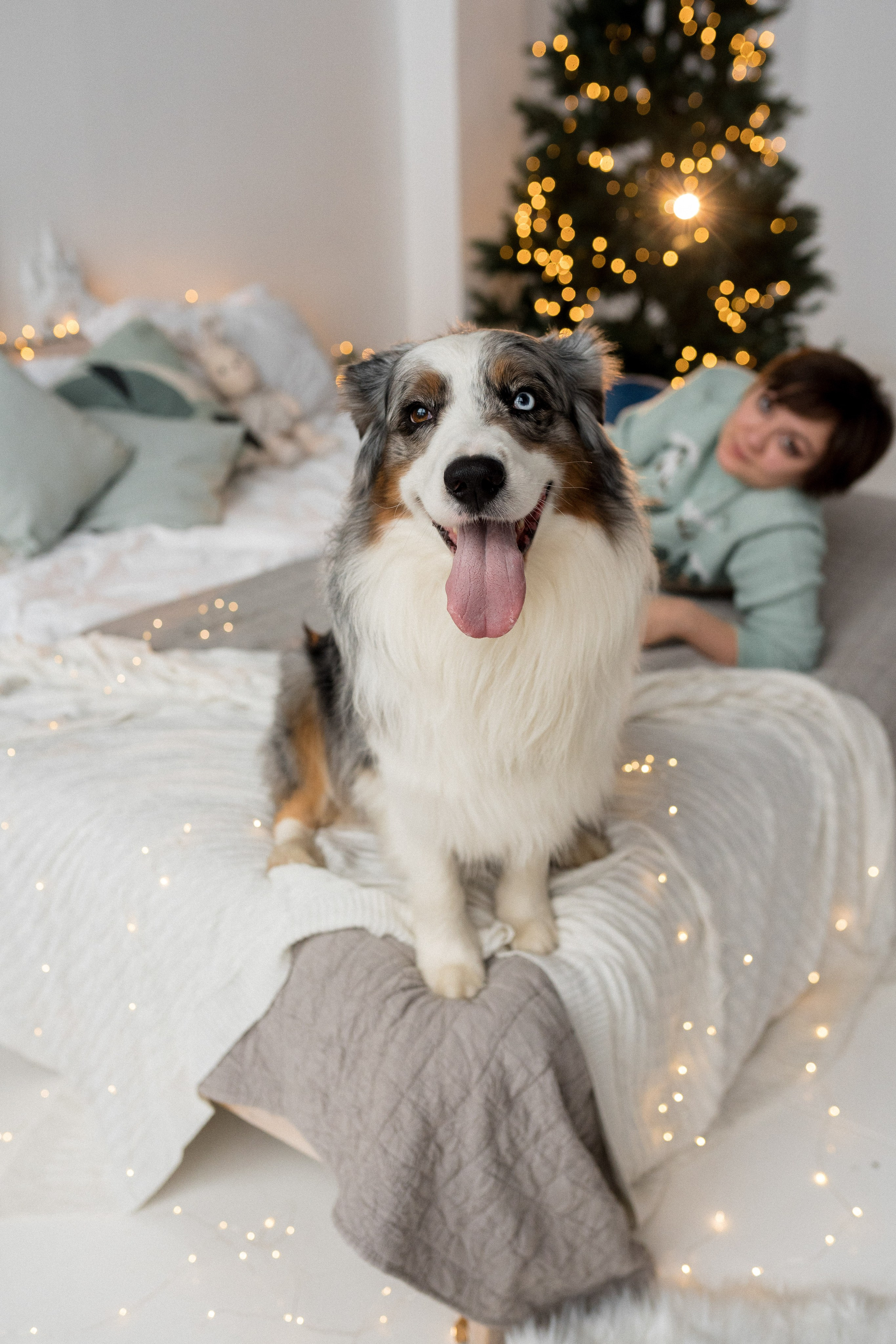 Новогоднее студия. Свадебный фотограф в Москве Анна Полушина