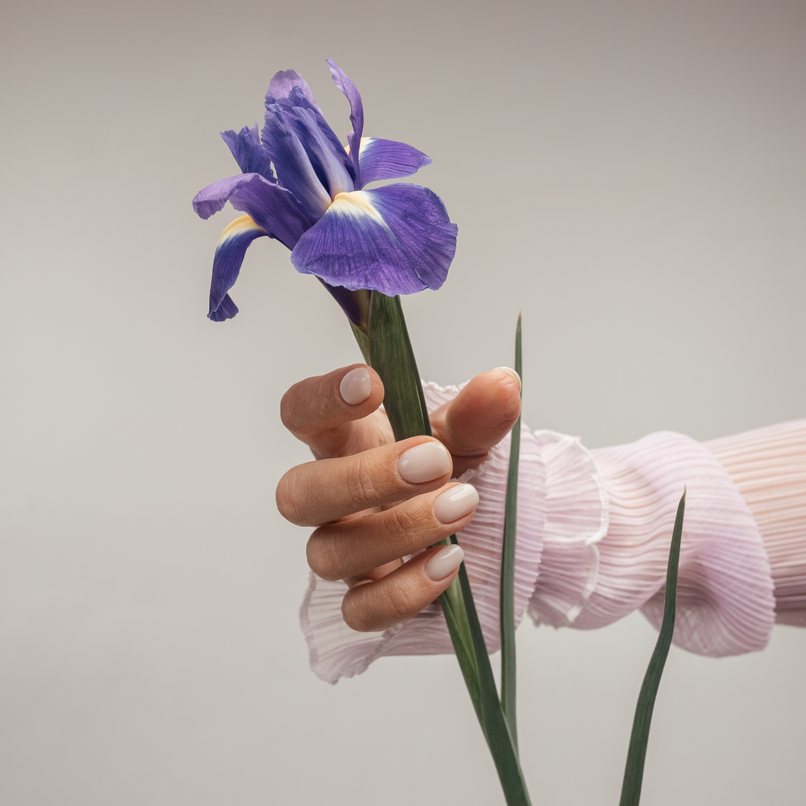 Студия лазерной эпиляции. Миленина Юлия Свадебный и семейный фотограф в Краснодаре