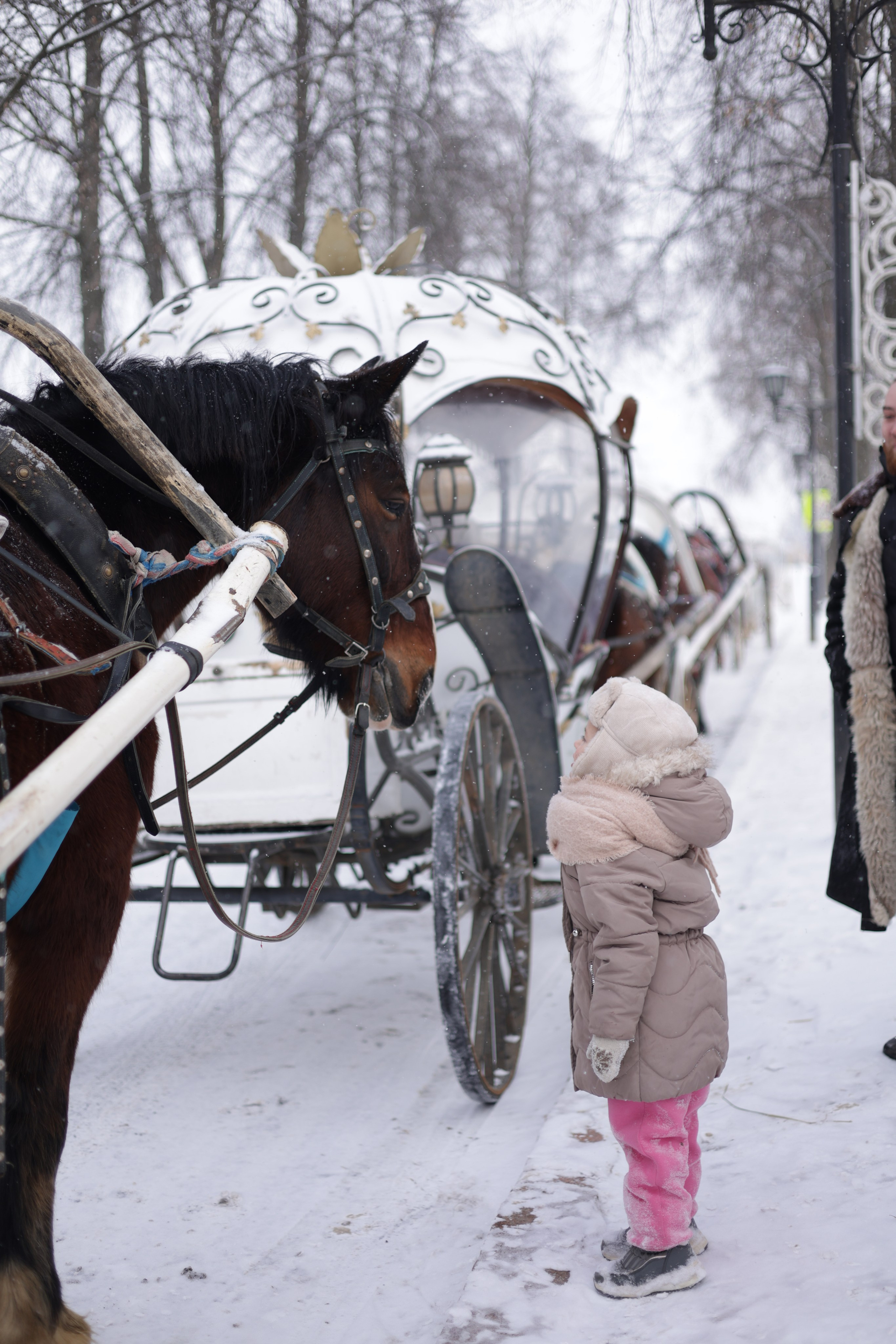 Кирилл и Анфиса Суздале. Сайт фотографа Ирины Аникановой