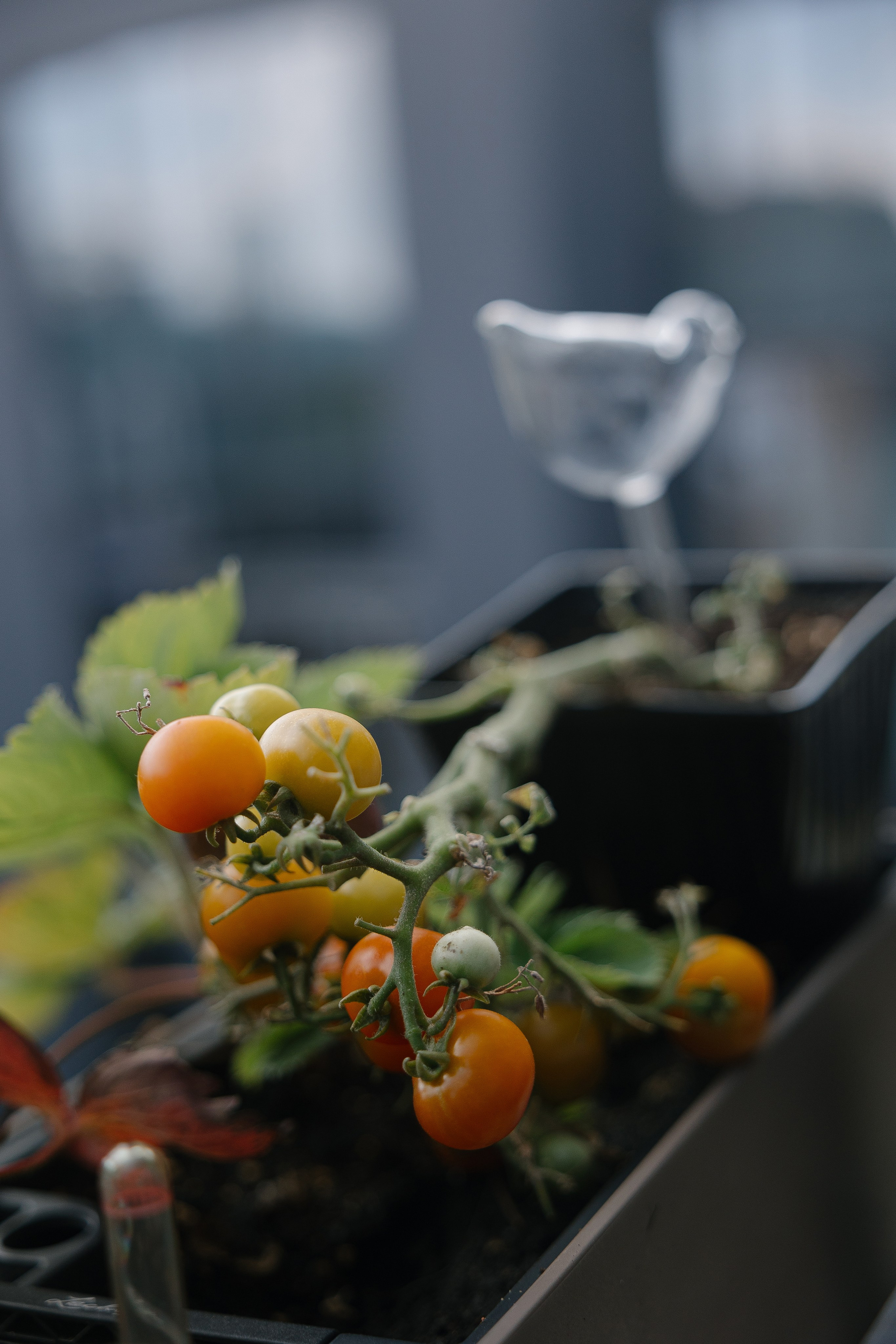 Easy. Главная