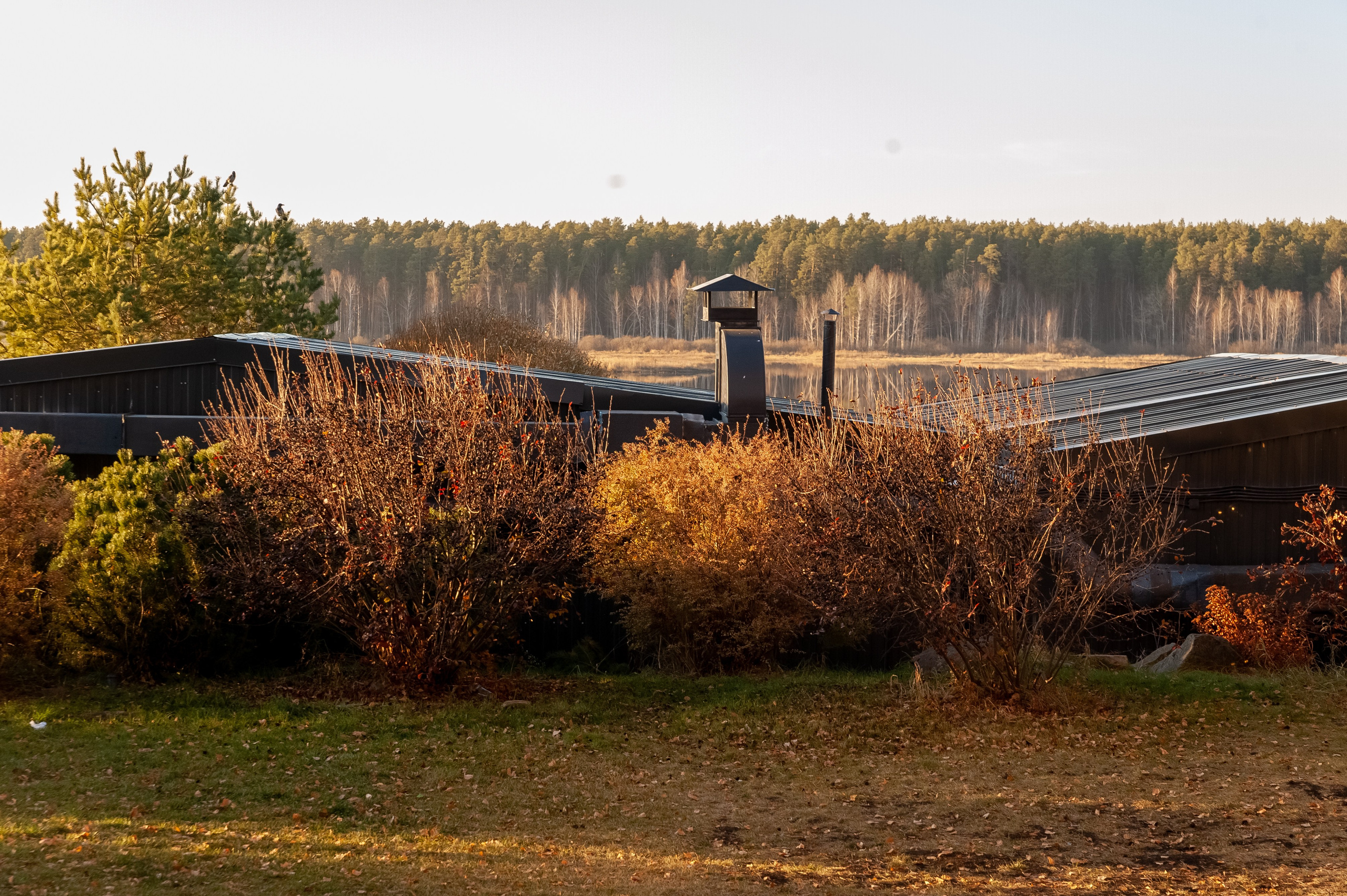 Александр и Ксения. Фотограф в Екатеринбурге Артём Зайнетдинов