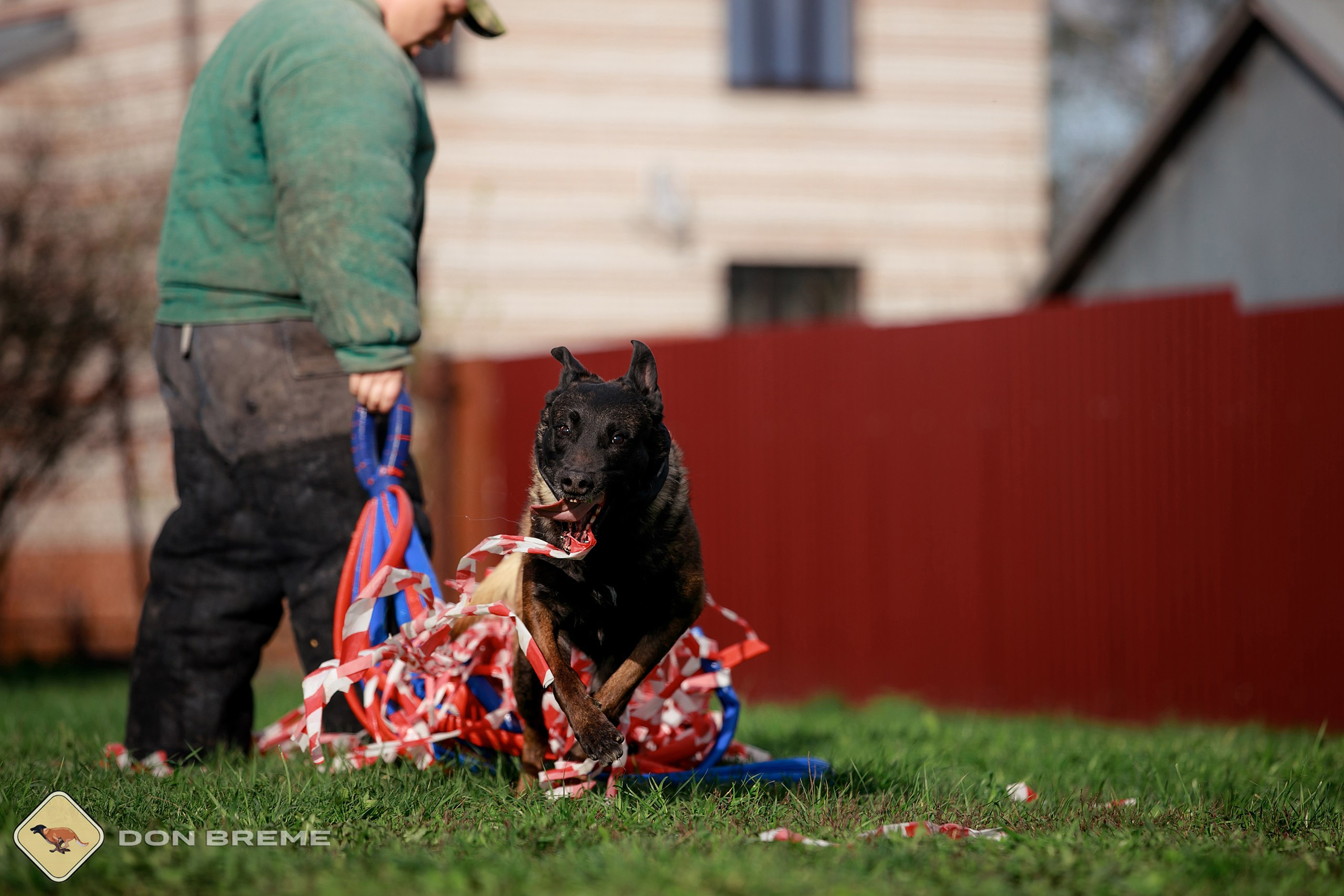 Семинар для фигурантов, день 2. Фотограф-анималист Mary Mart — Москва, Питер