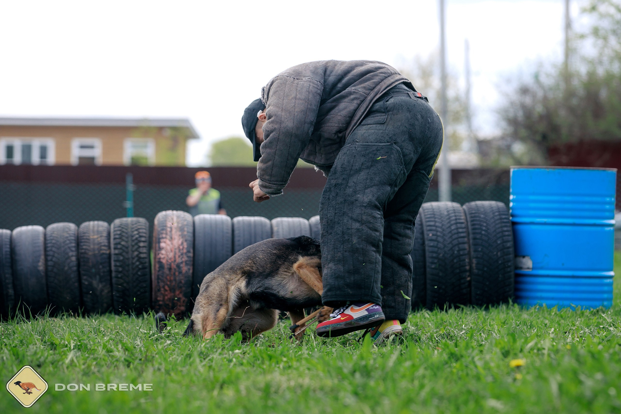 Семинар для фигурантов, день 2. Фотограф-анималист Mary Mart — Москва, Питер