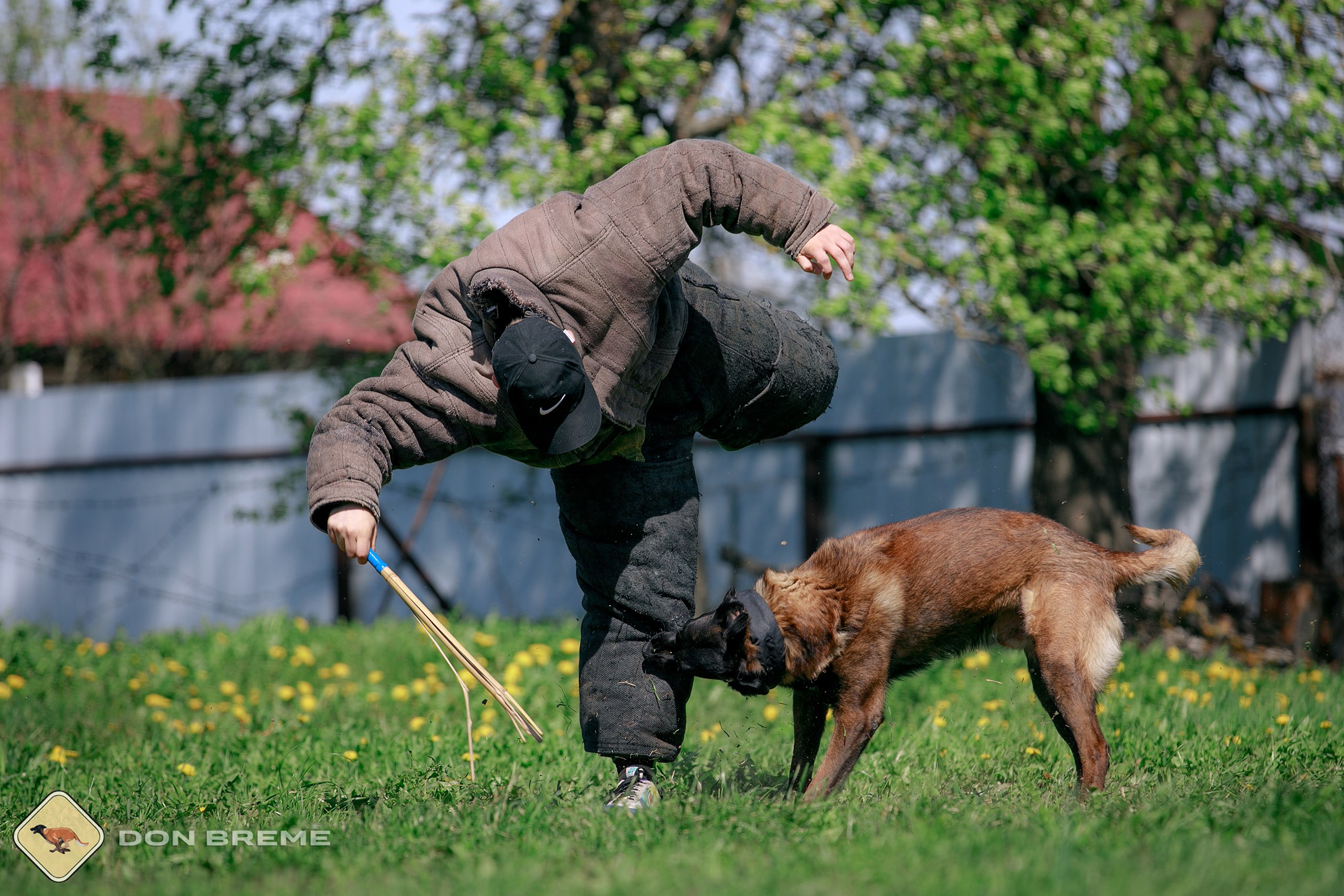 Семинар для фигурантов, день 4. Фотограф-анималист Mary Mart — Москва, Питер