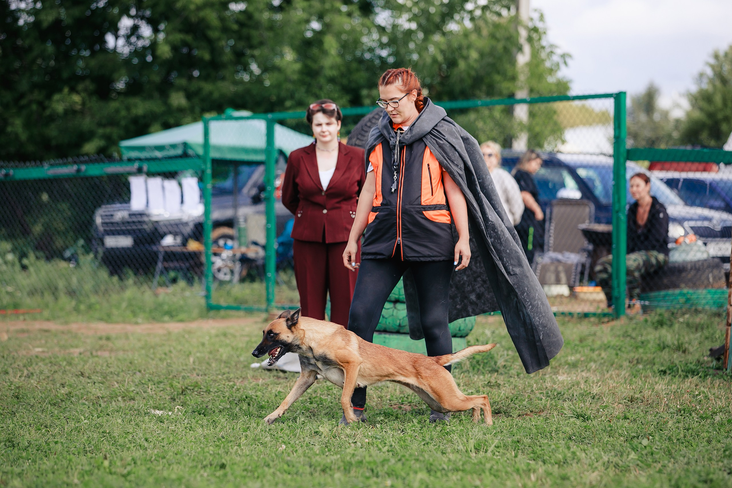 Мондьоринг М1, М2, М3, Вологда. Фотограф-анималист Mary Mart — Москва, Питер