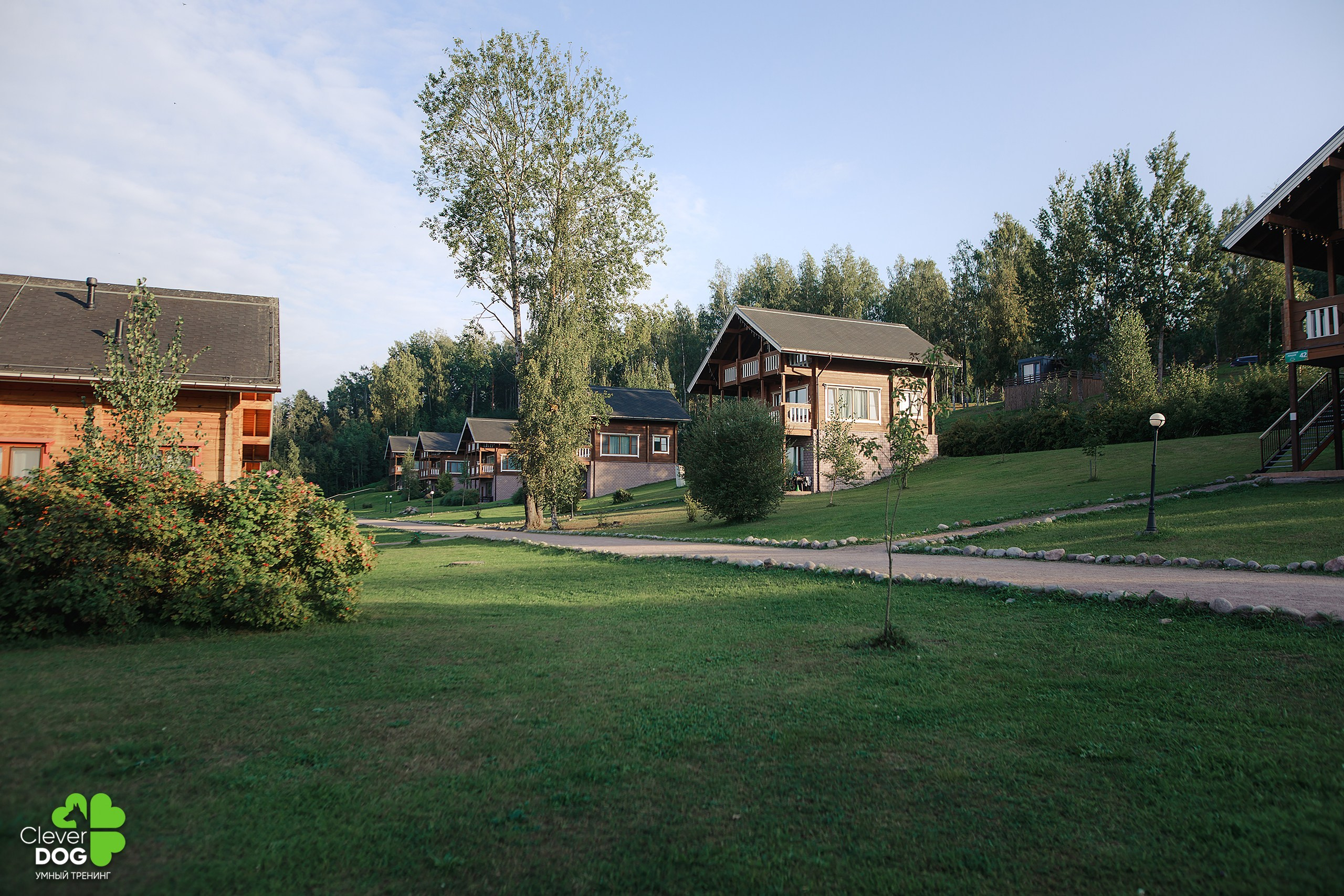 Кинологический лагерь CleverDog, 2024. Фотограф-анималист Mary Mart — Москва, Питер