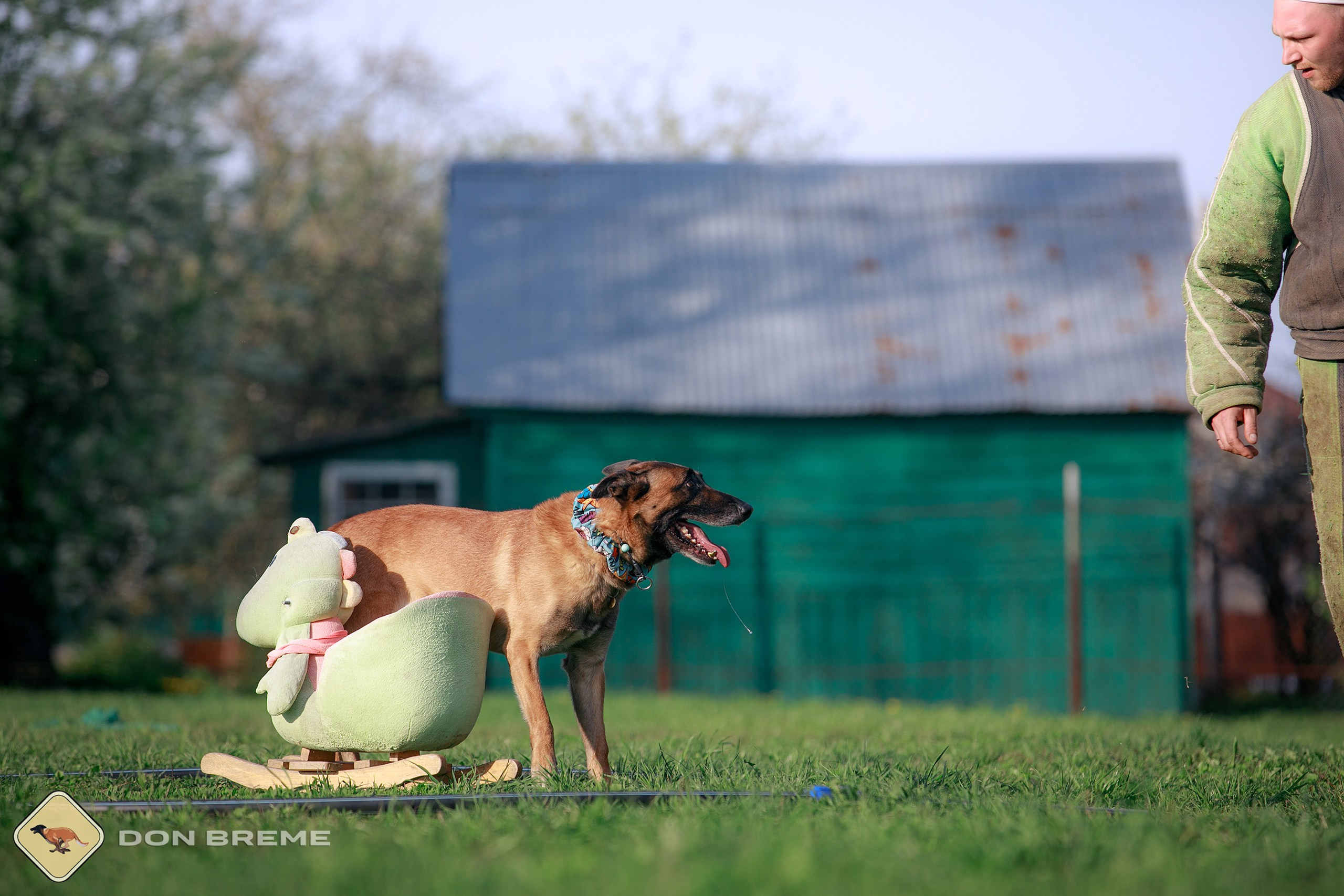 Семинар для фигурантов, день 4. Фотограф-анималист Mary Mart — Москва, Питер