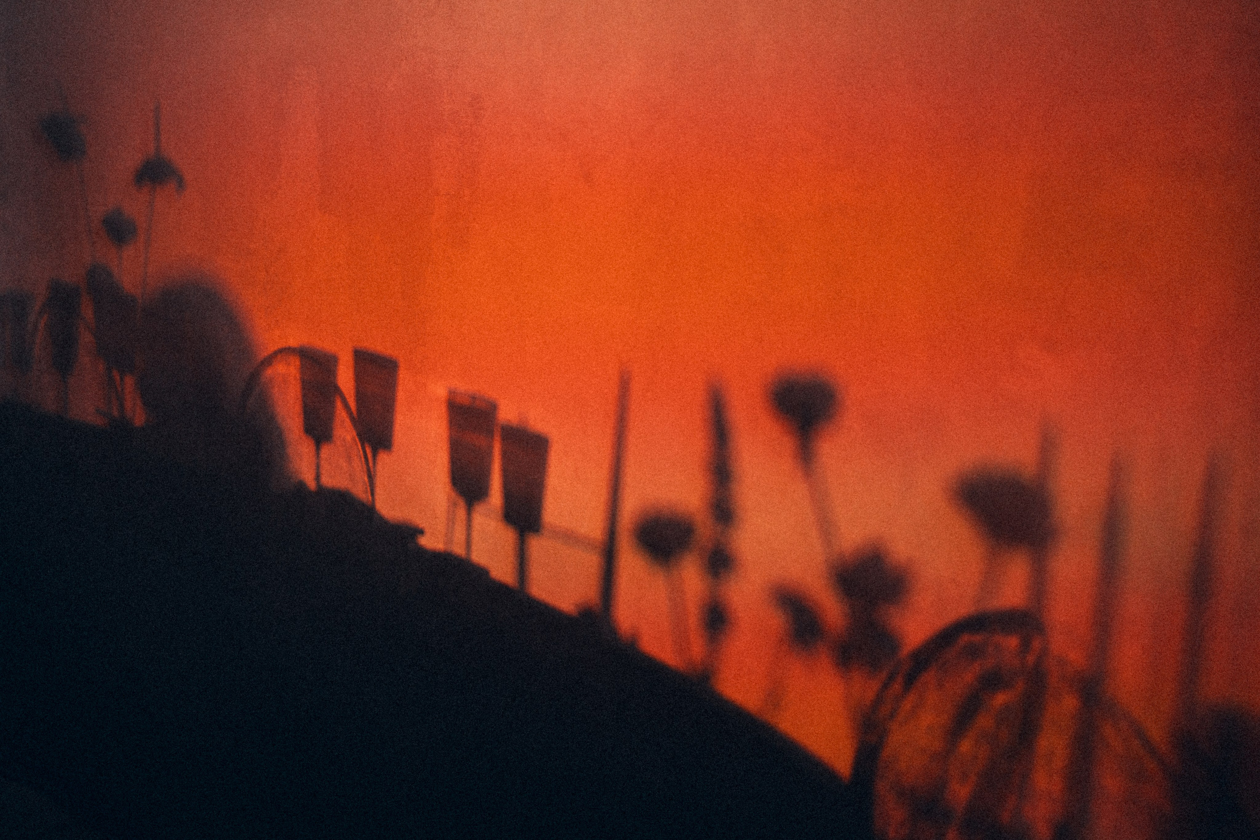 Вот это да, у меня теперь есть жена…. Daria Chigintseva Photographer