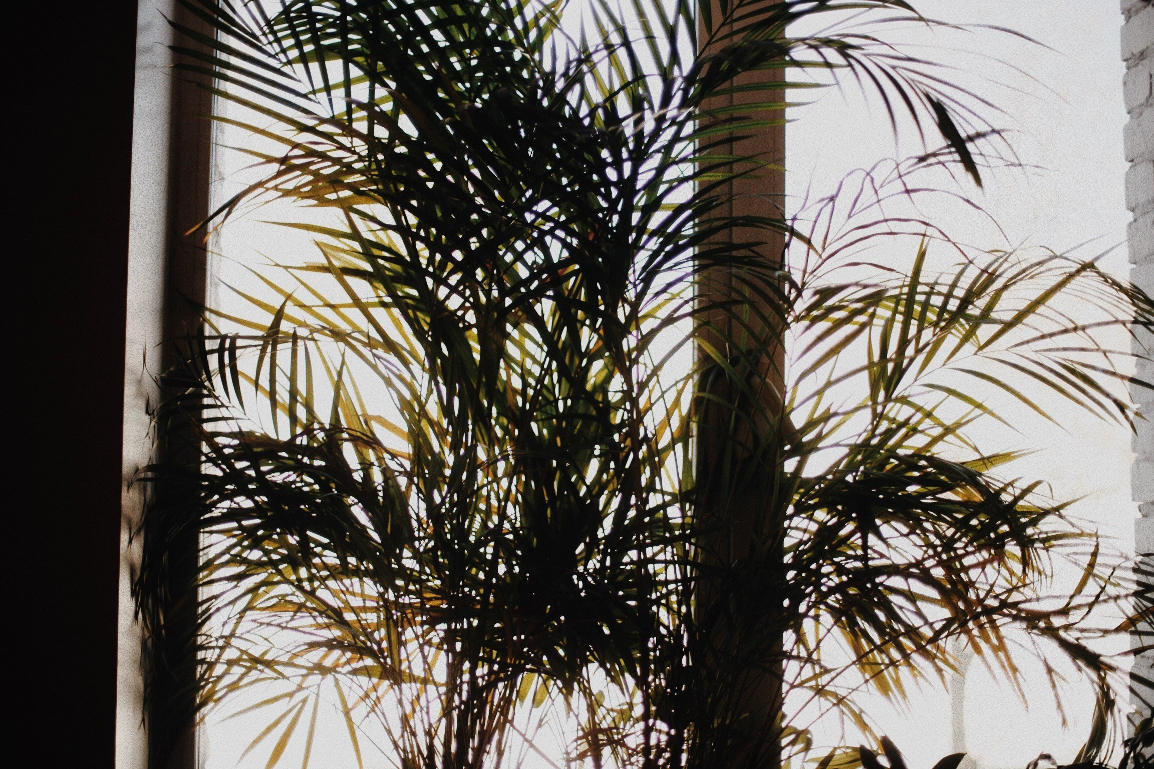 Школьные съемки. Ксения Плотникова