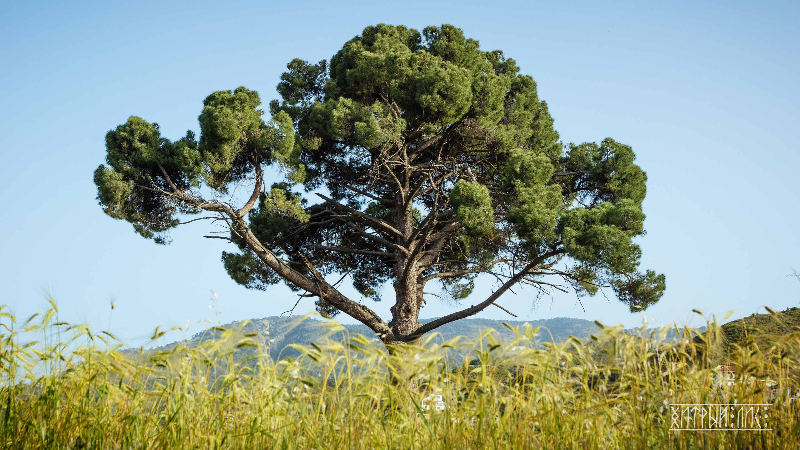 Кипр. Фотограф-путешественник Самойлов Максим «Sly Fox»