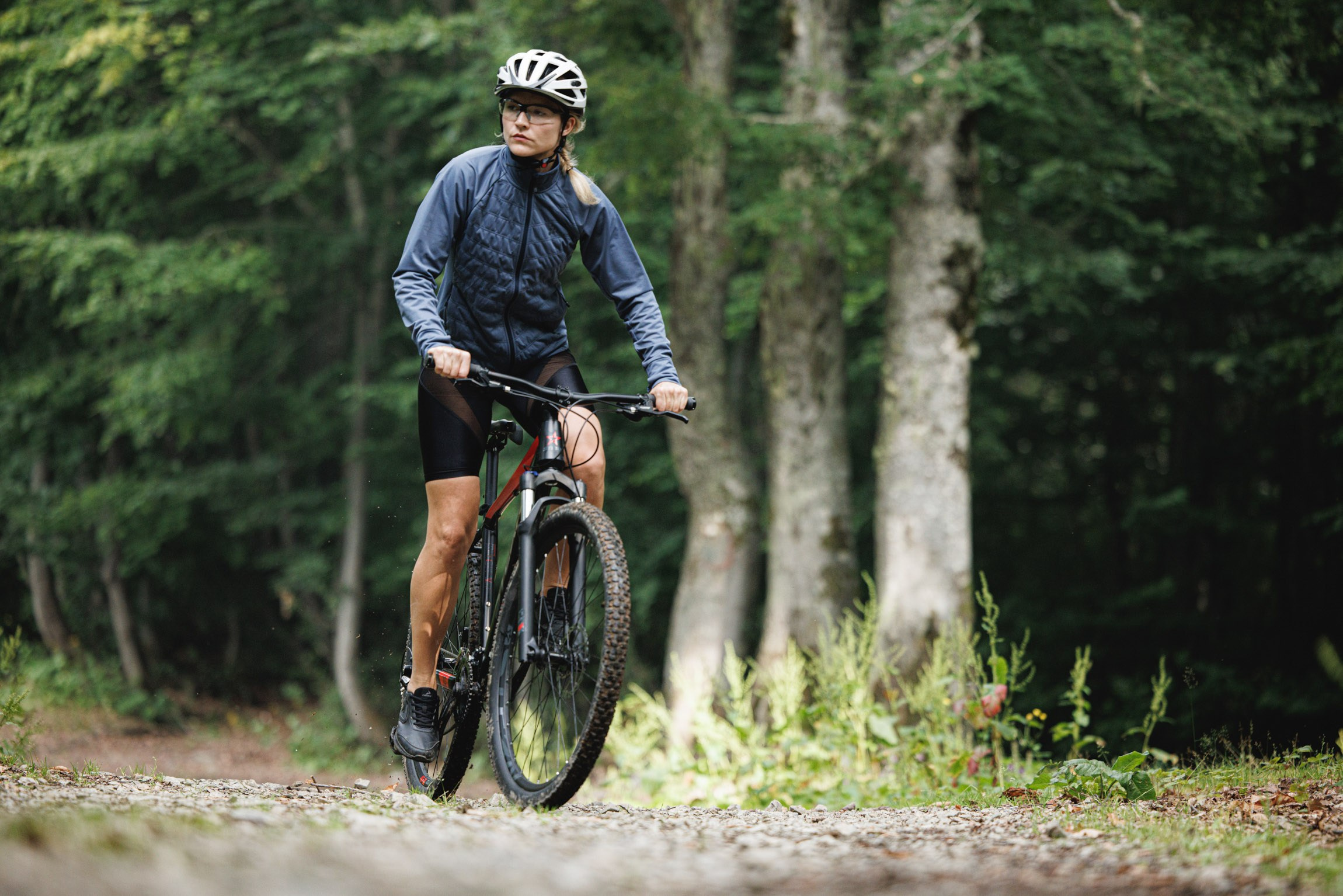 Lifestyle. Bivol images