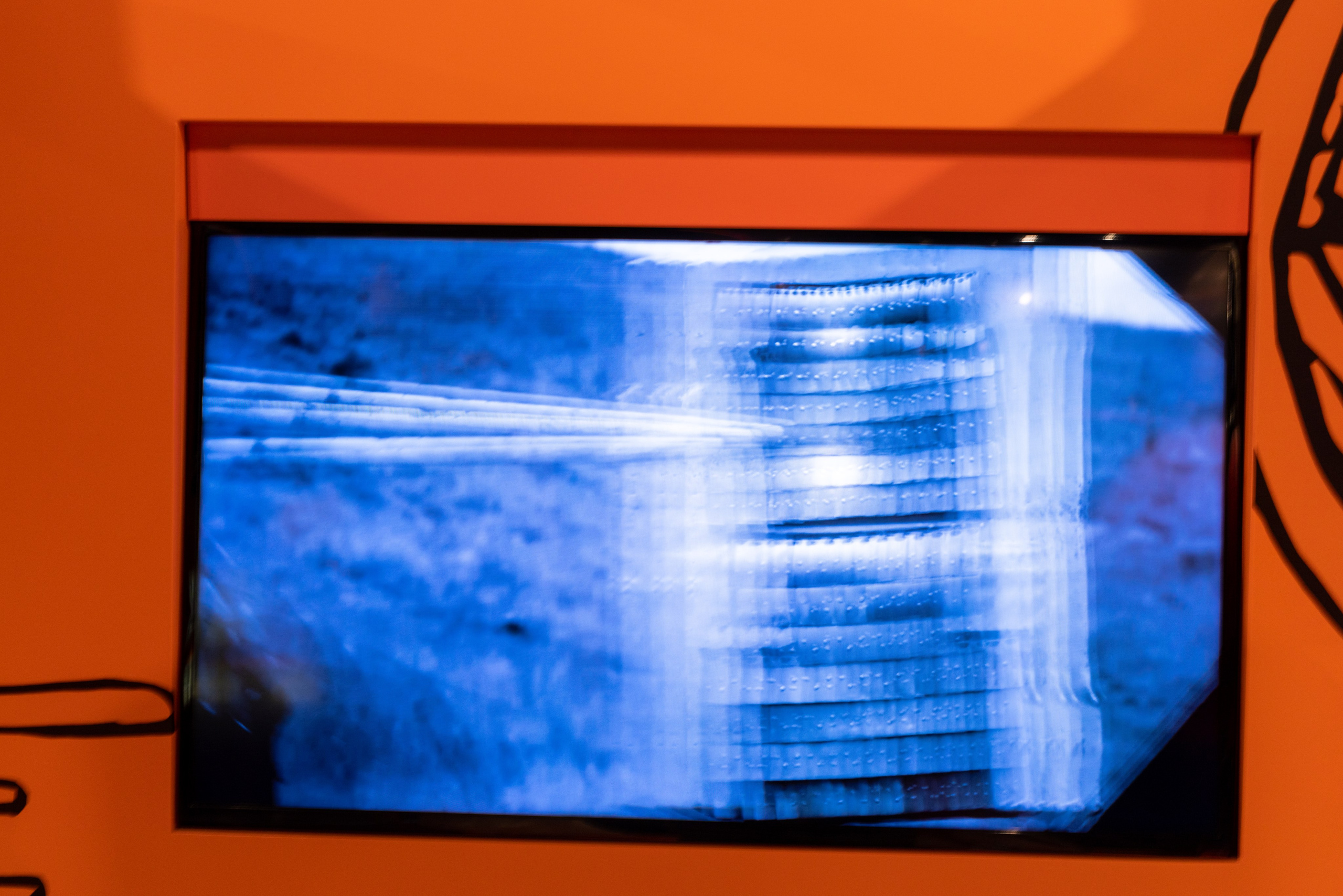 Поездка на поле Кулеково. Фотограф в Туле Крупский АнДРей. Фотостудия «КАДР71» в Туле