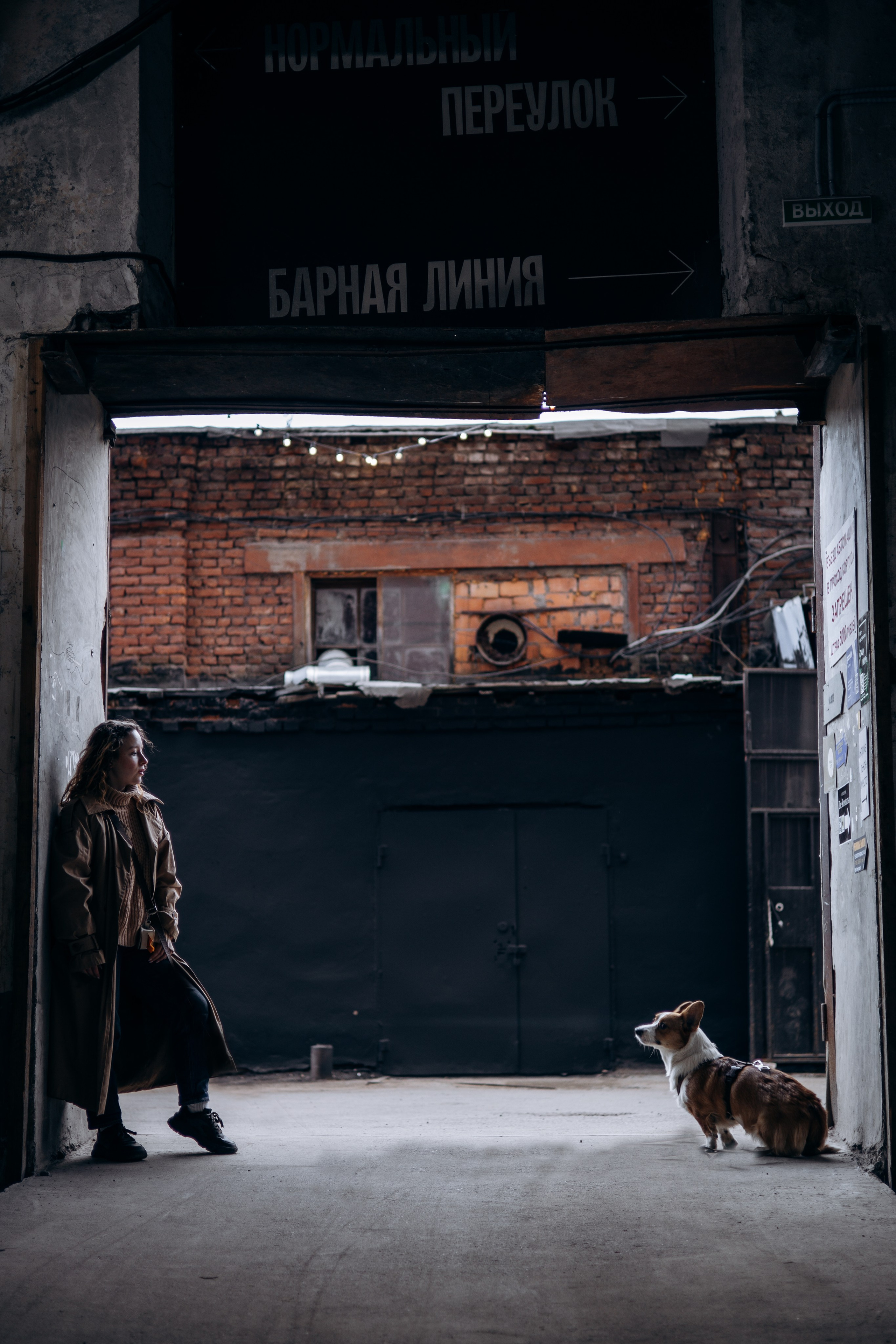 Александра и Мика. Фотограф животных Евгения Верцинская