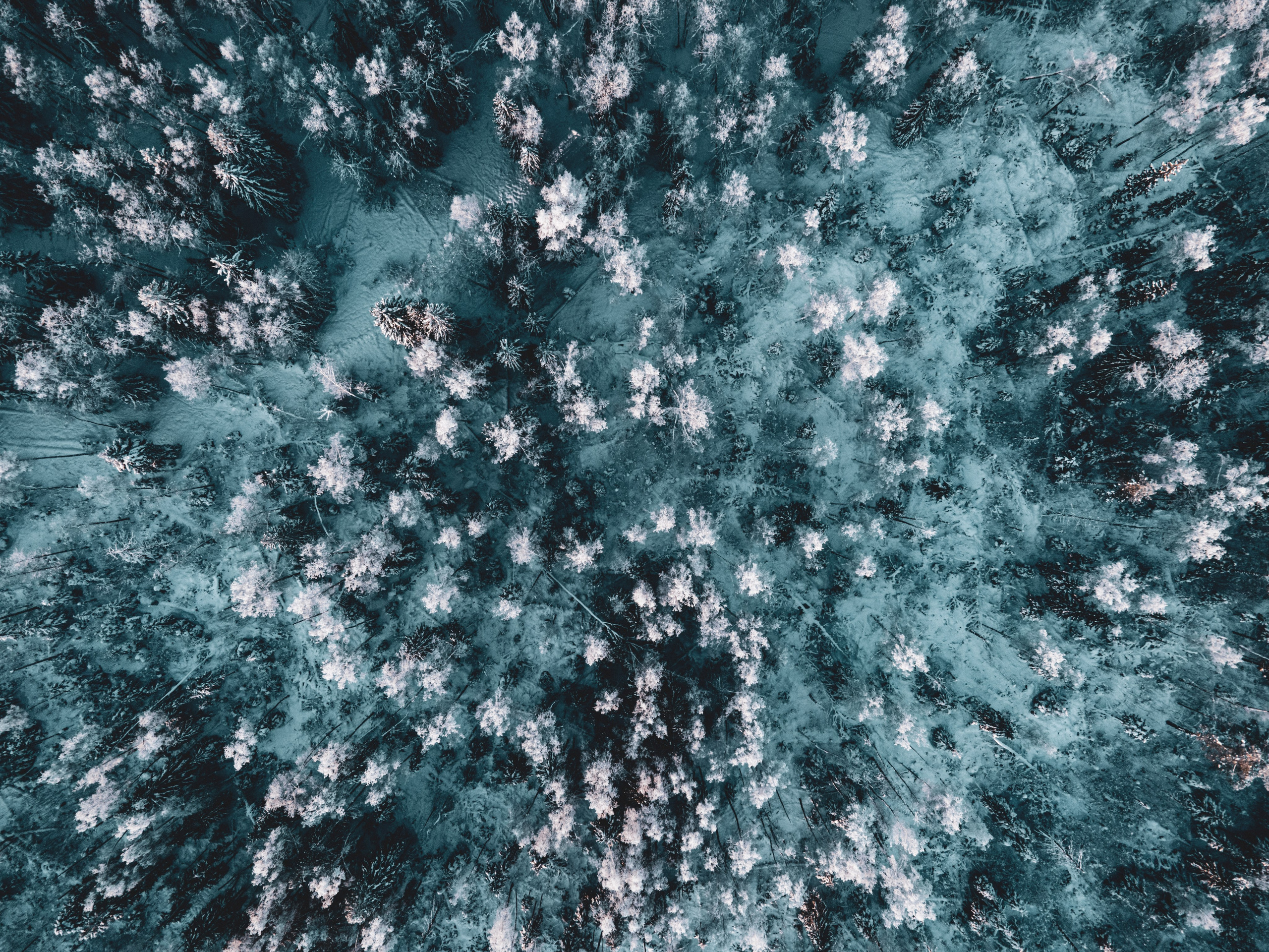 Drone. Фотограф Москва и Область