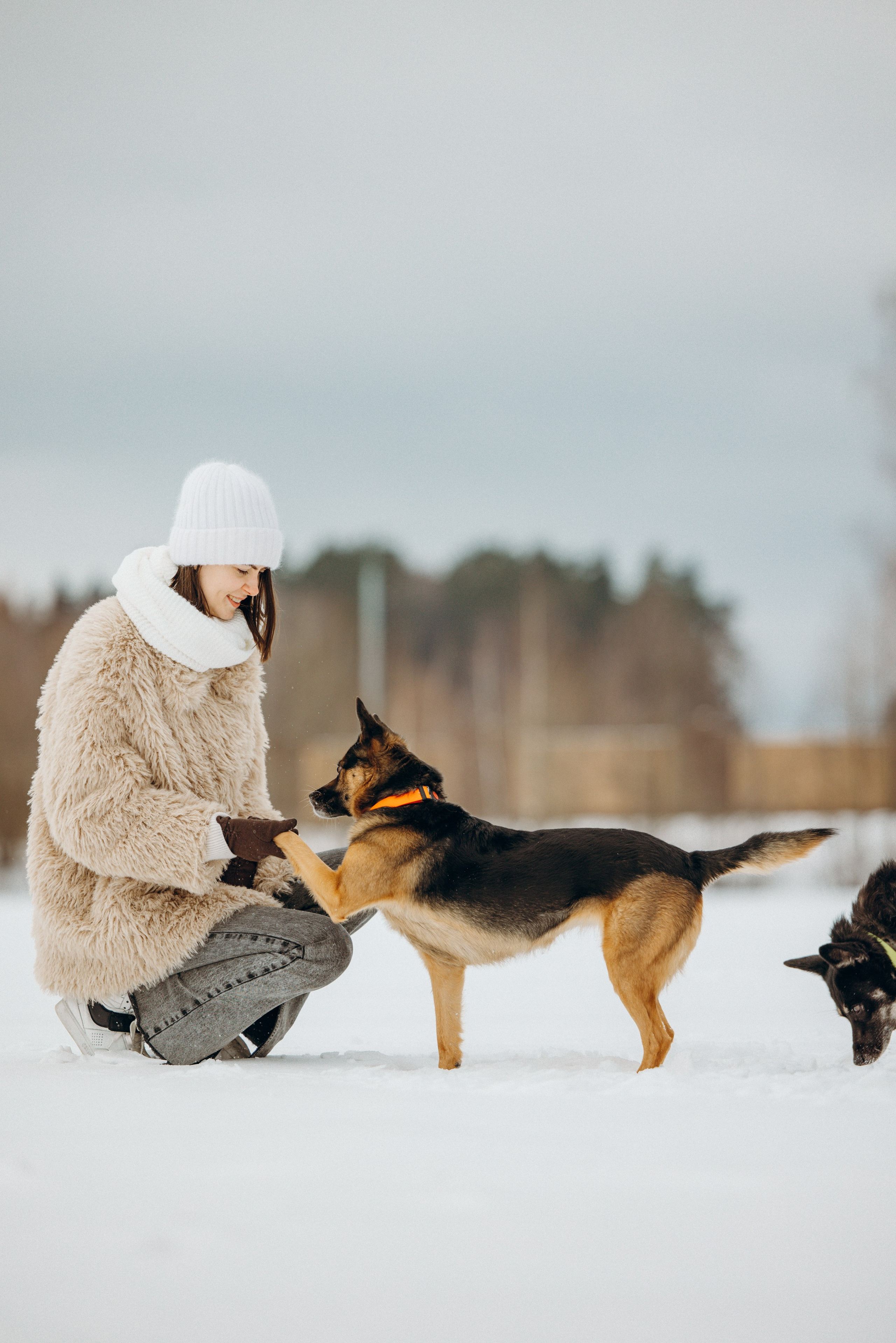 Ника, Матиша и Герда. Фотограф-анималист в Москве Лера Черноног