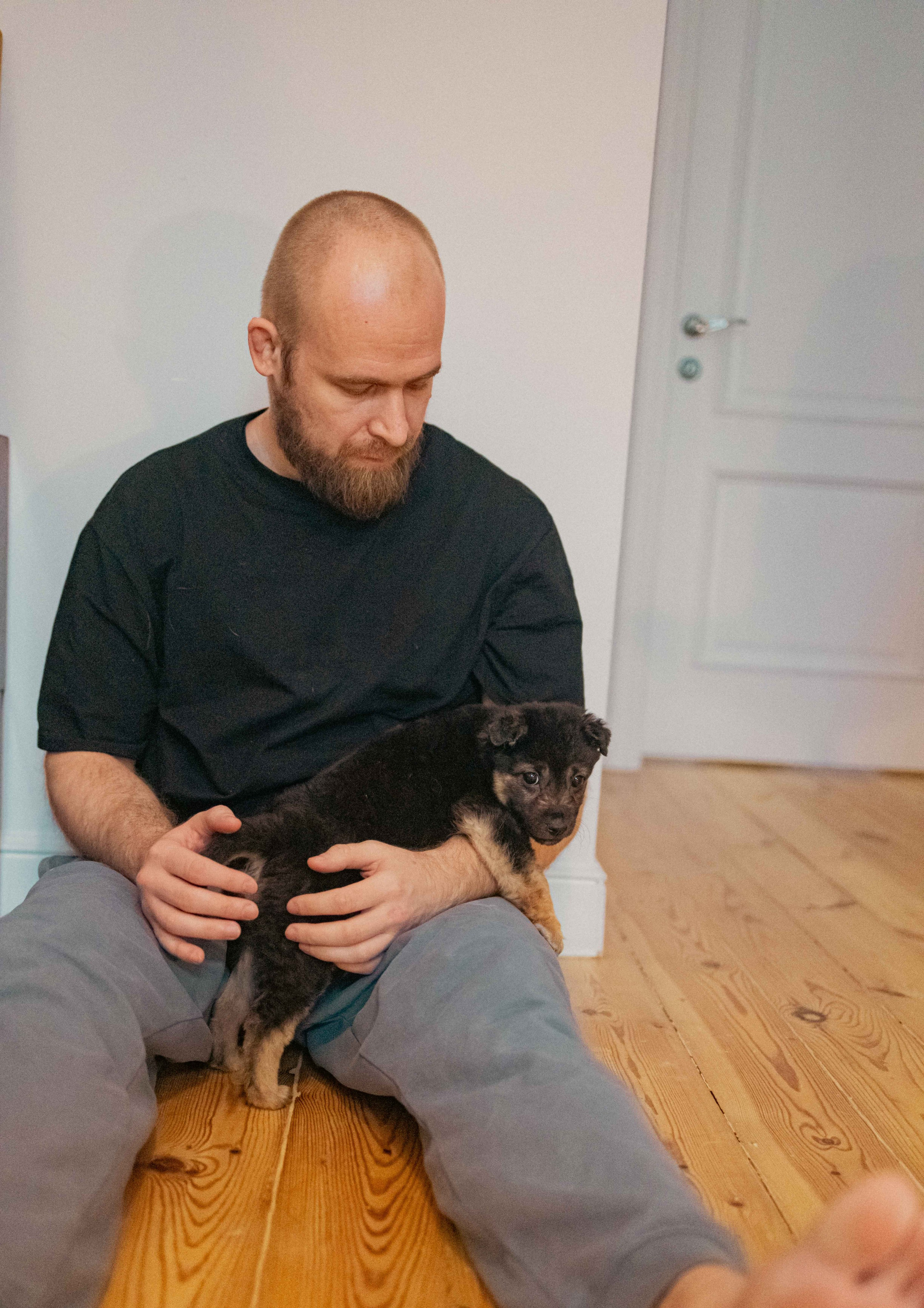 Пеппа. Фотограф-анималист в Москве Лера Черноног