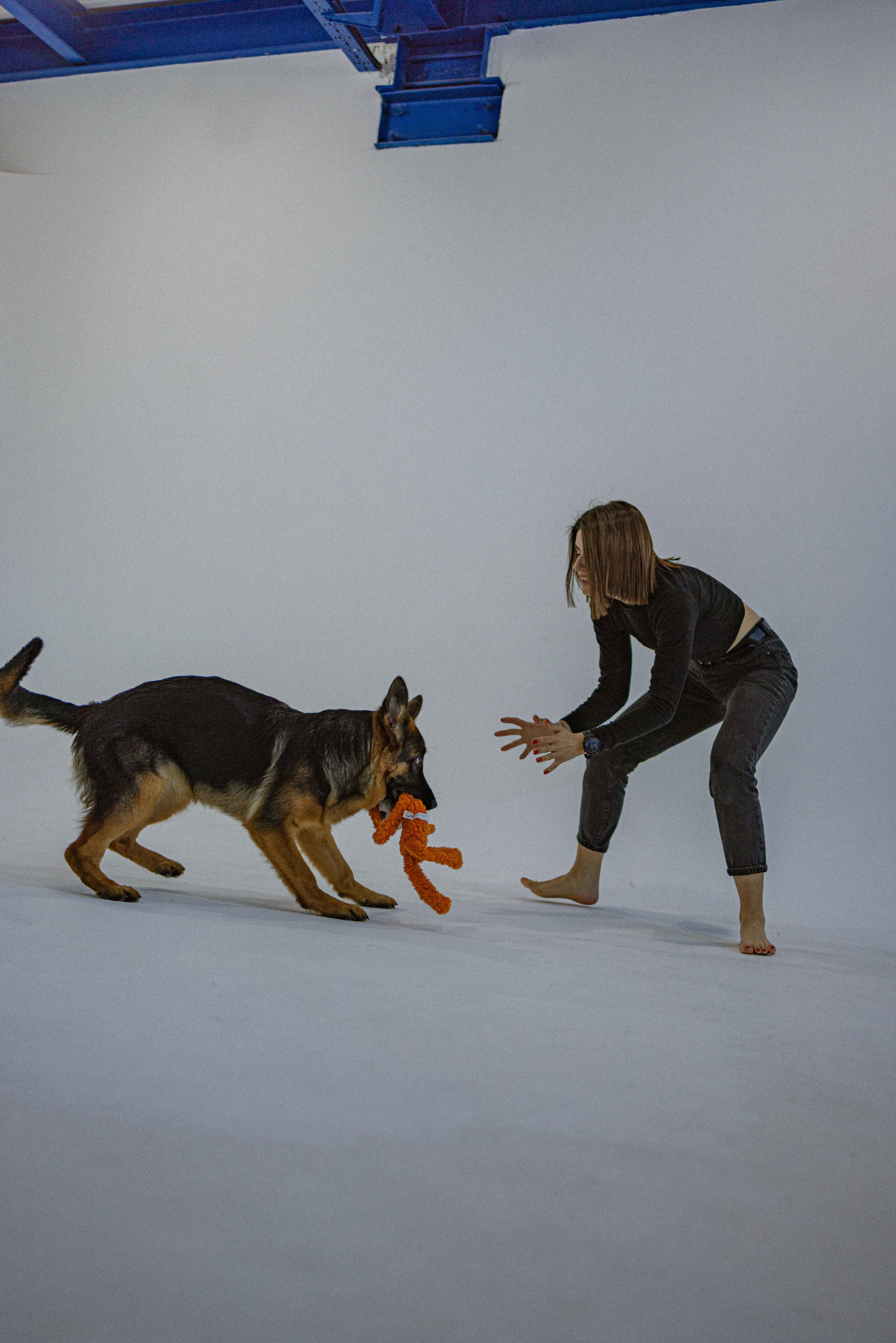 Ася и Буся. Фотограф-анималист в Москве Лера Черноног