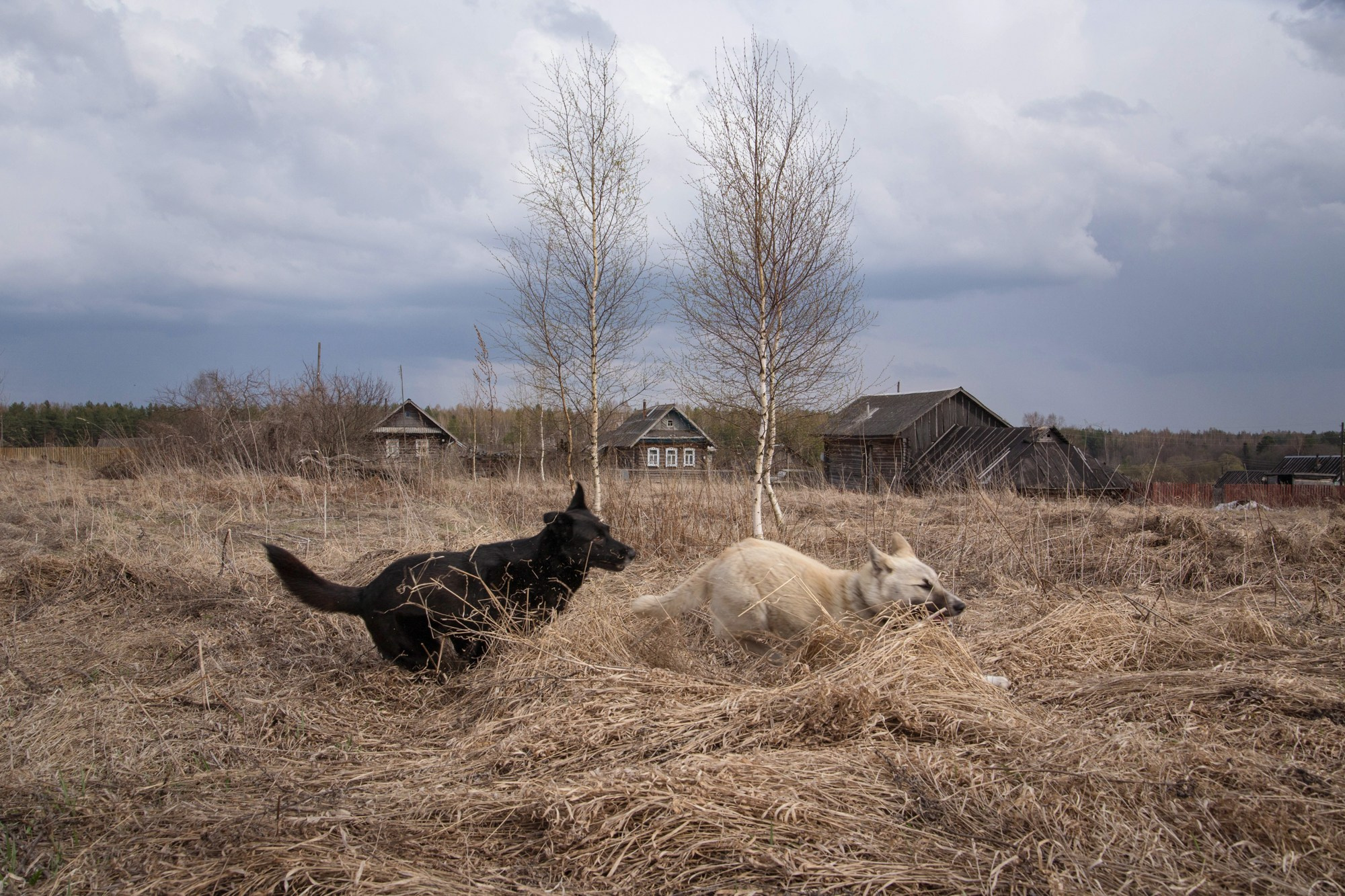 Нить Паулино. Фотограф Юлия Близнецова