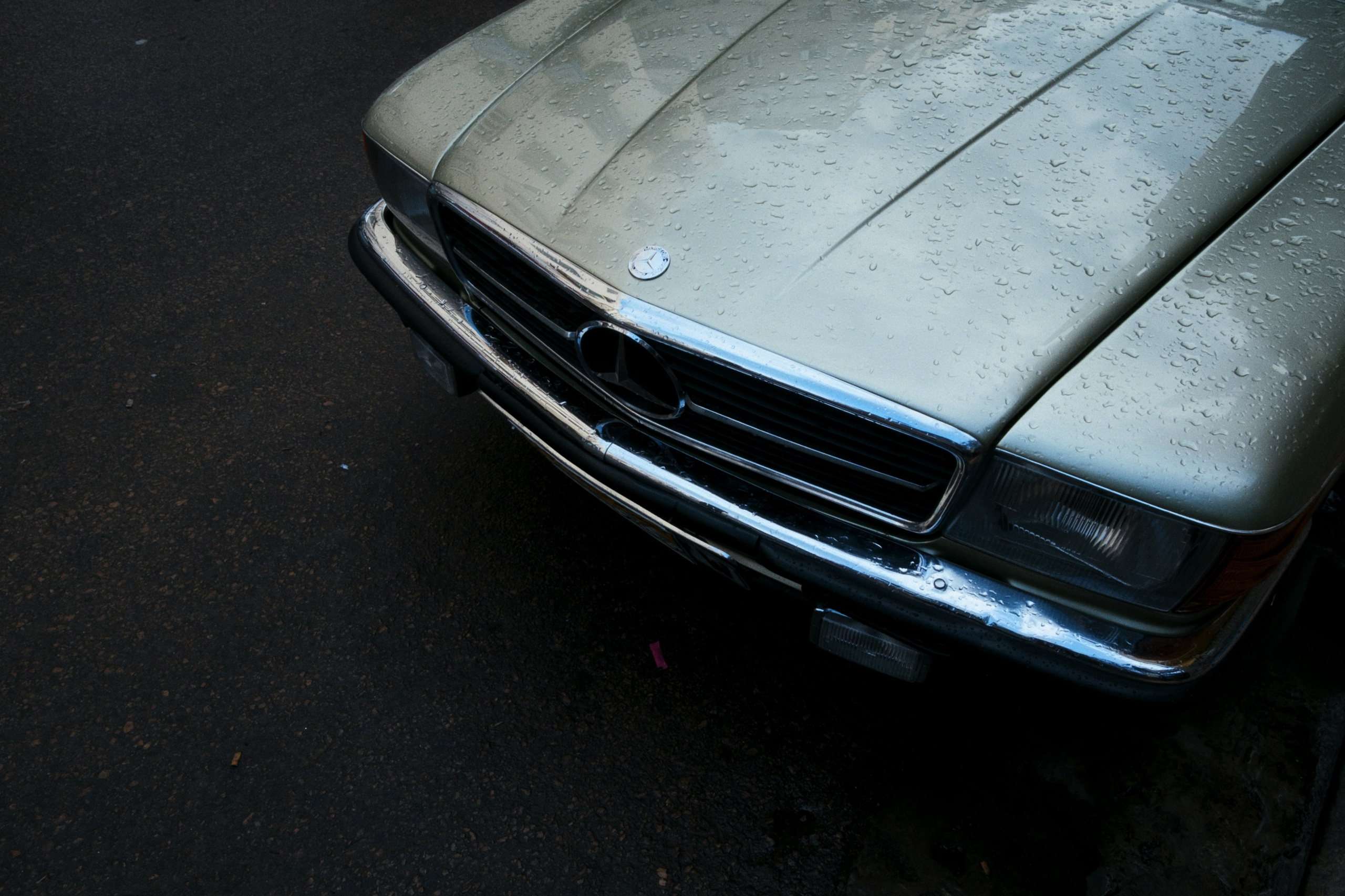 Alexandria / Egypt AW25. Фотограф Юрин Евгений